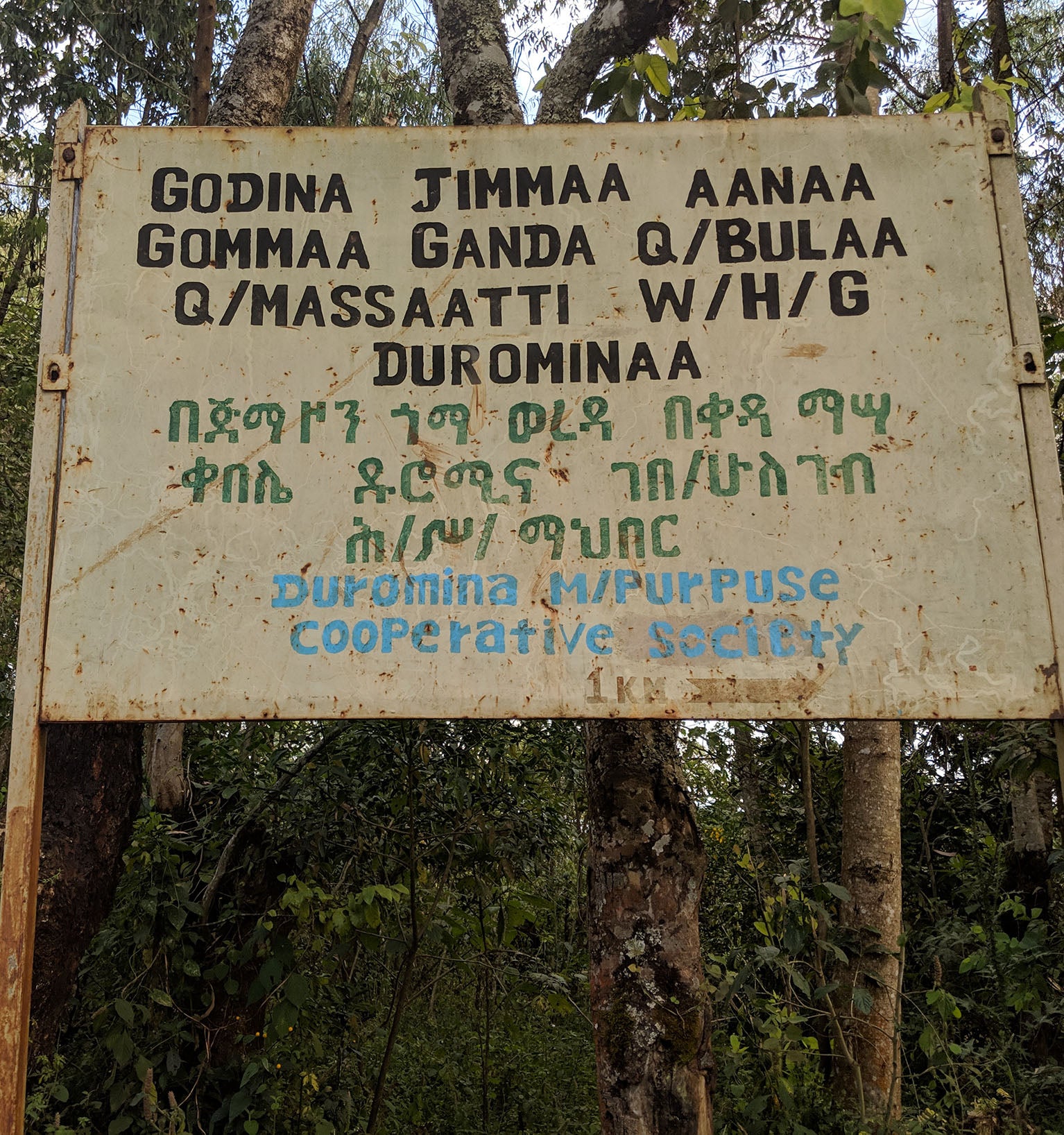 Tout - Producers: Duromina Cooperative - Slider 4