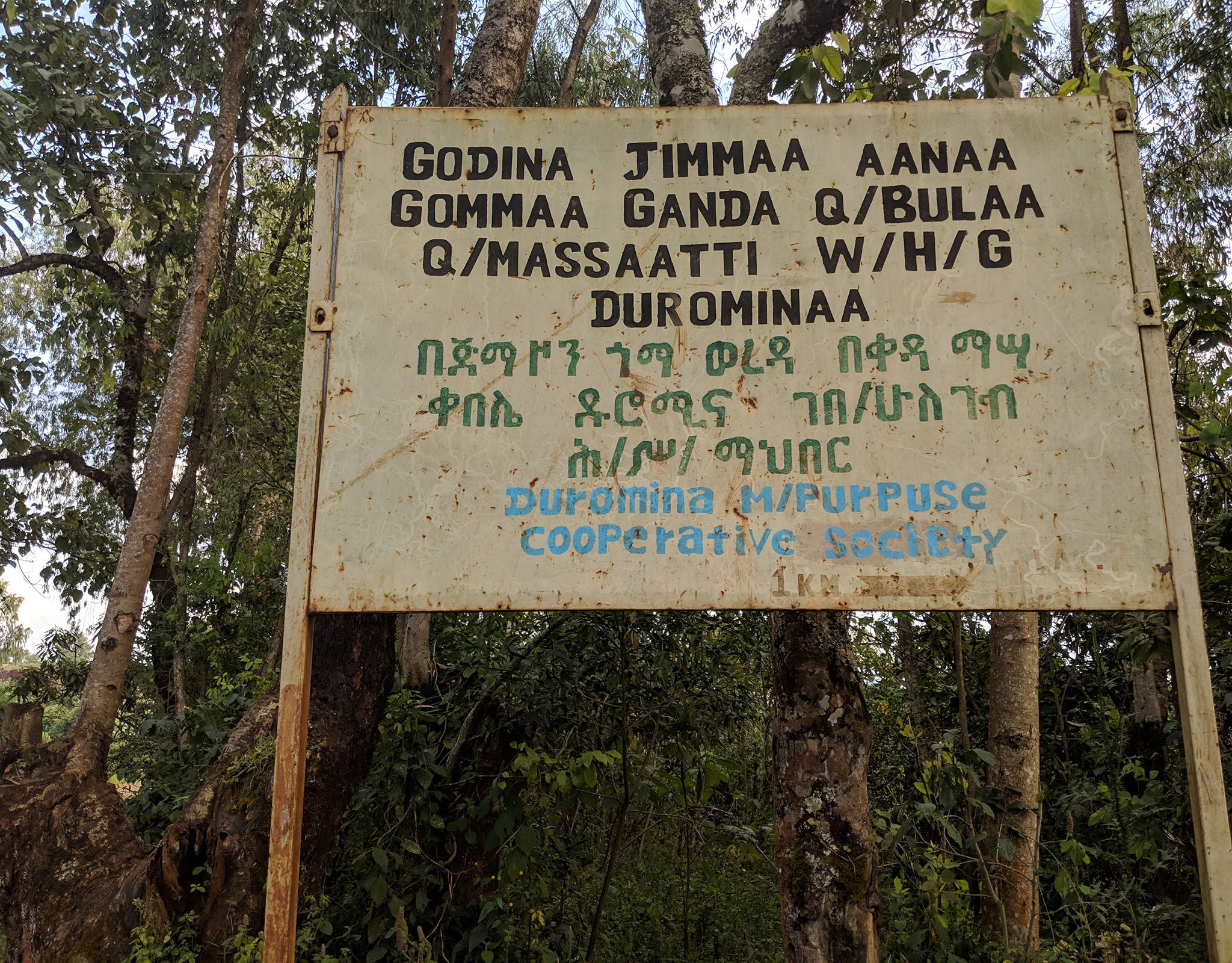 Tout - Producers: Duromina Cooperative - Slider 4