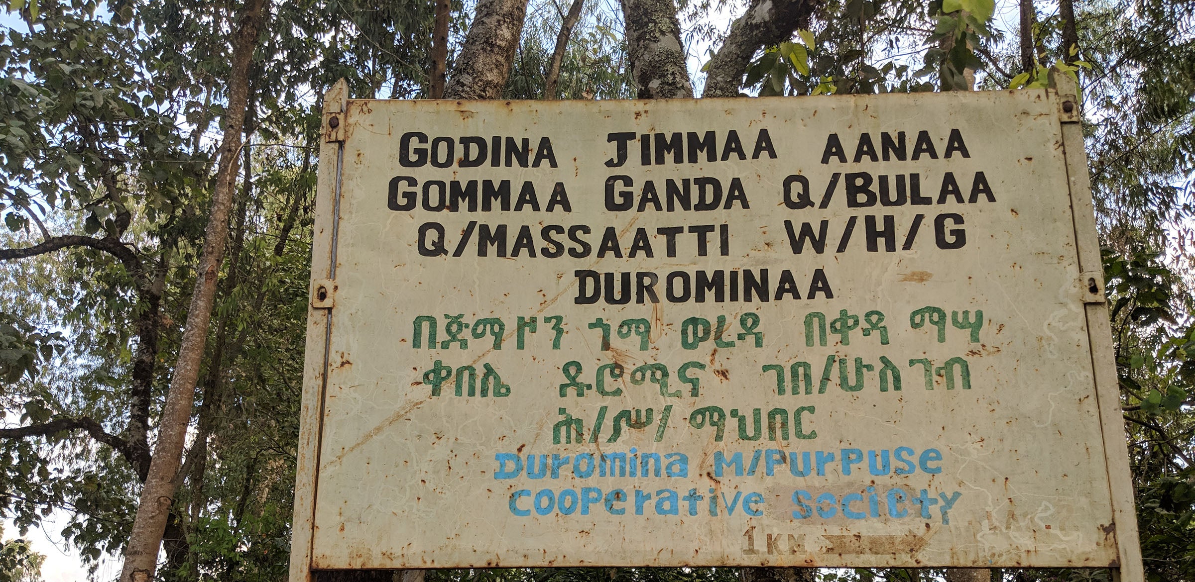 Tout - Producers: Duromina Cooperative - Slider 4