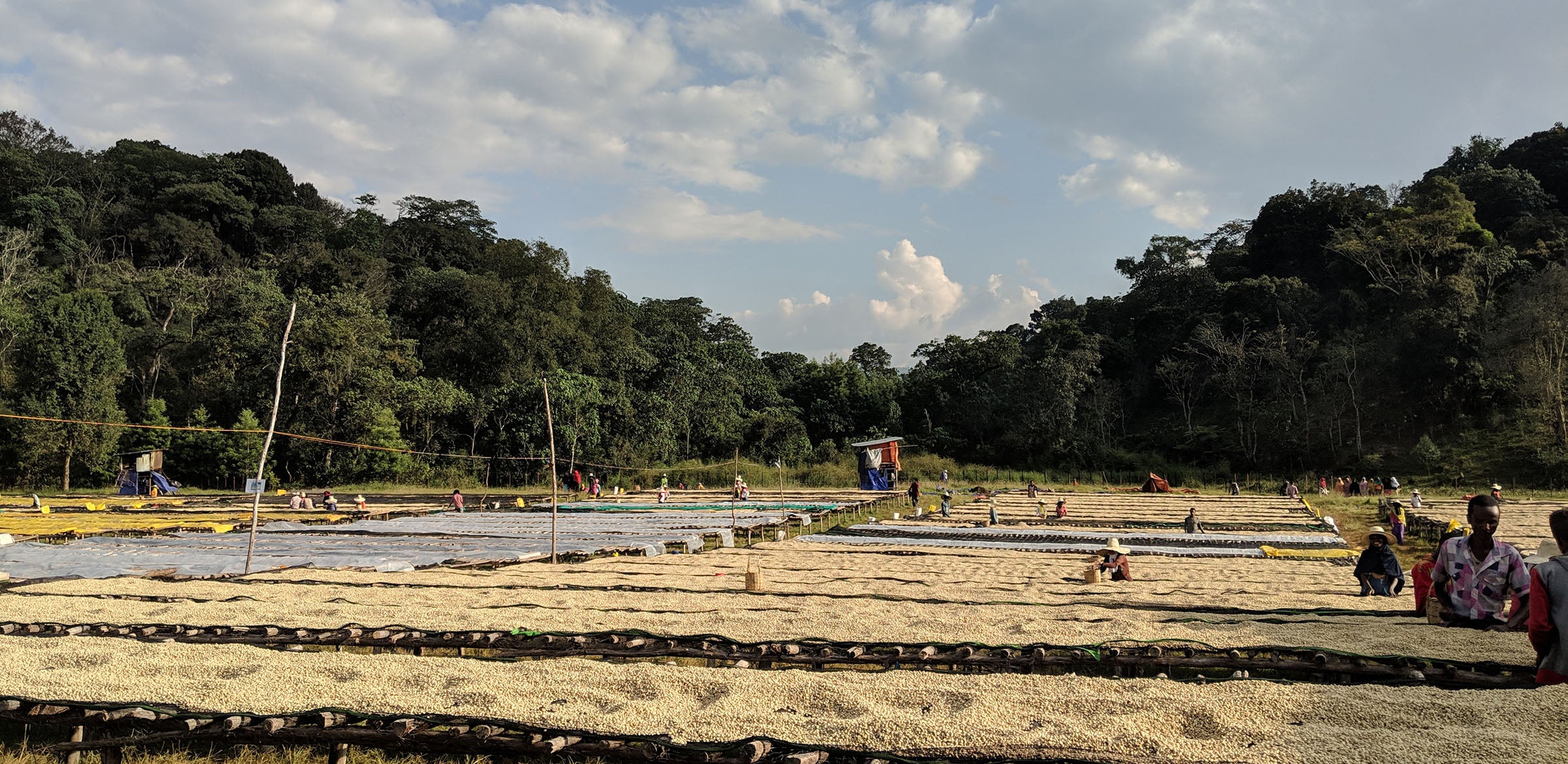 Tout - Producers: Duromina Cooperative - Slider 1