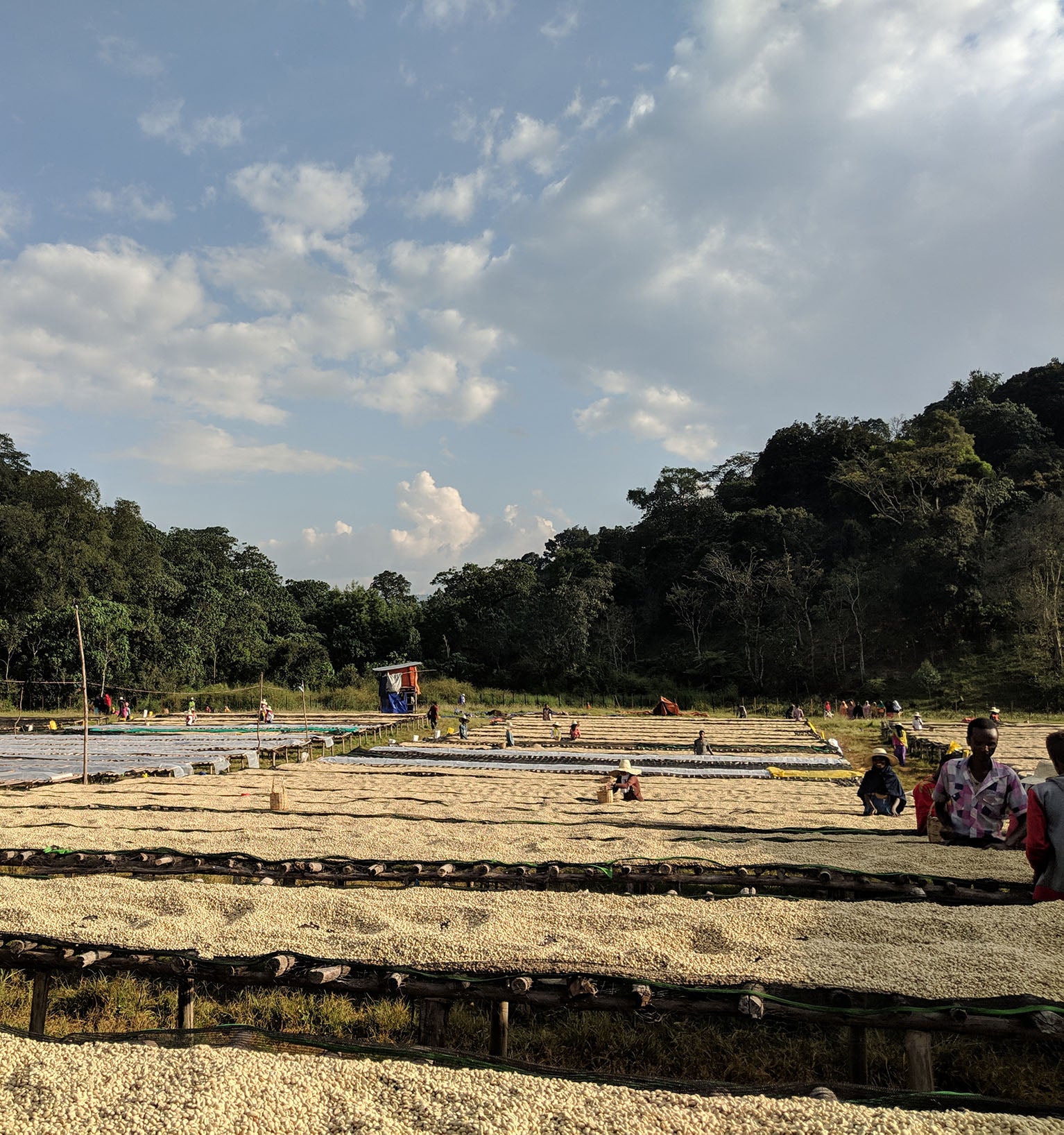 Tout - Producers: Duromina Cooperative - Slider 1