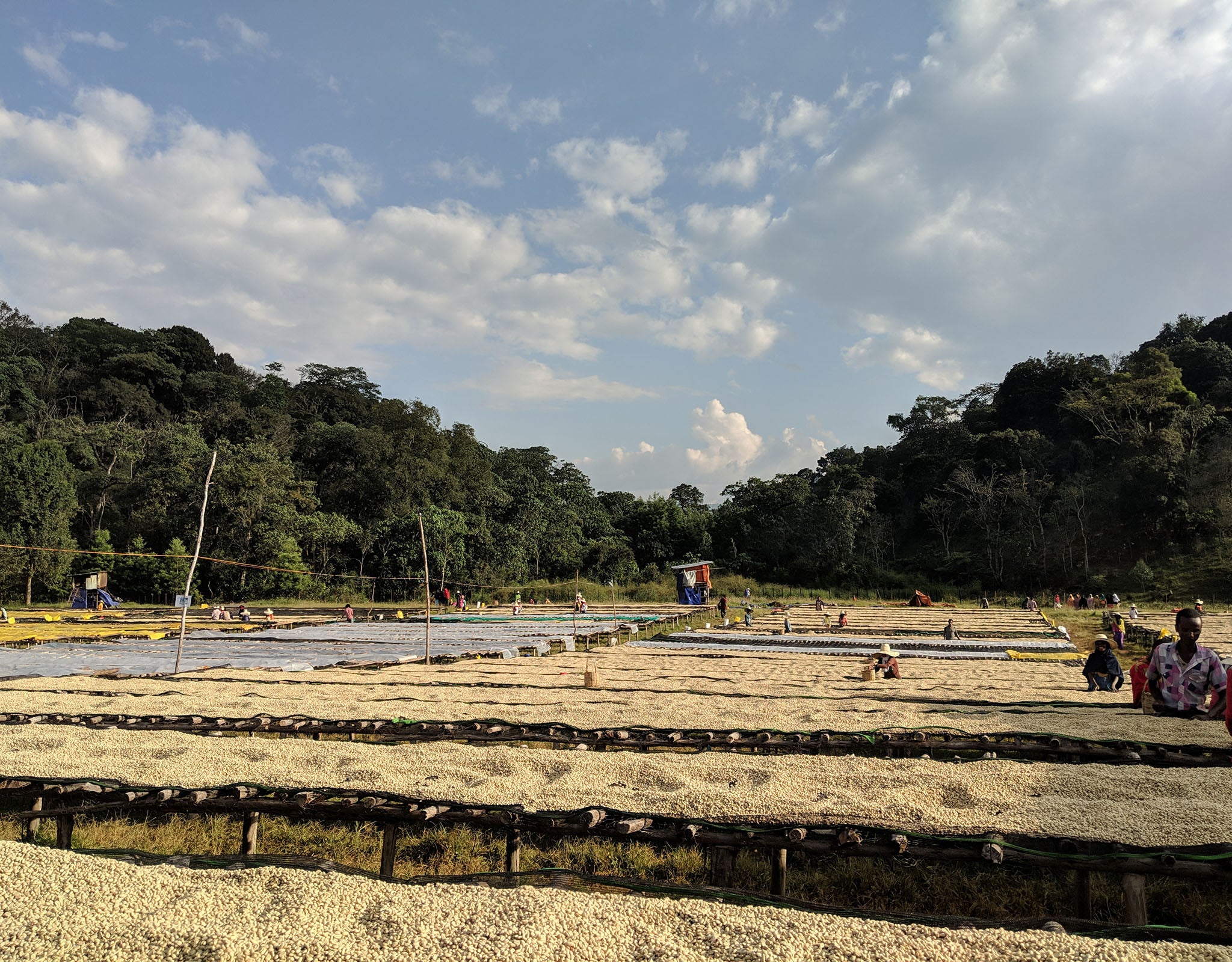 Tout - Producers: Duromina Cooperative - Slider 1