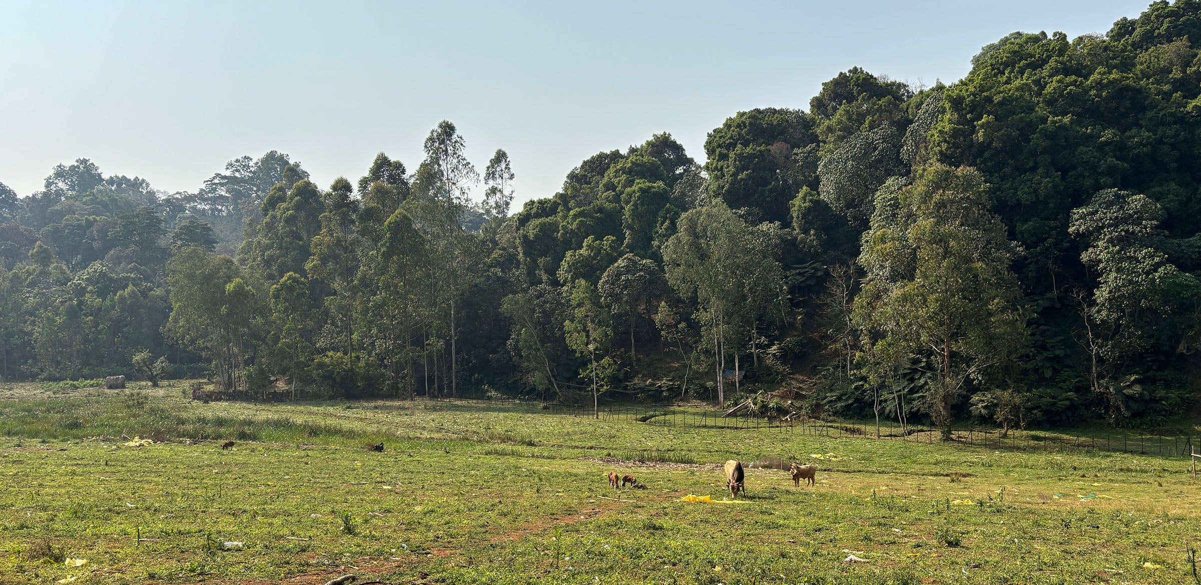 Tout - Producers: Duromina Cooperative - Slider 2