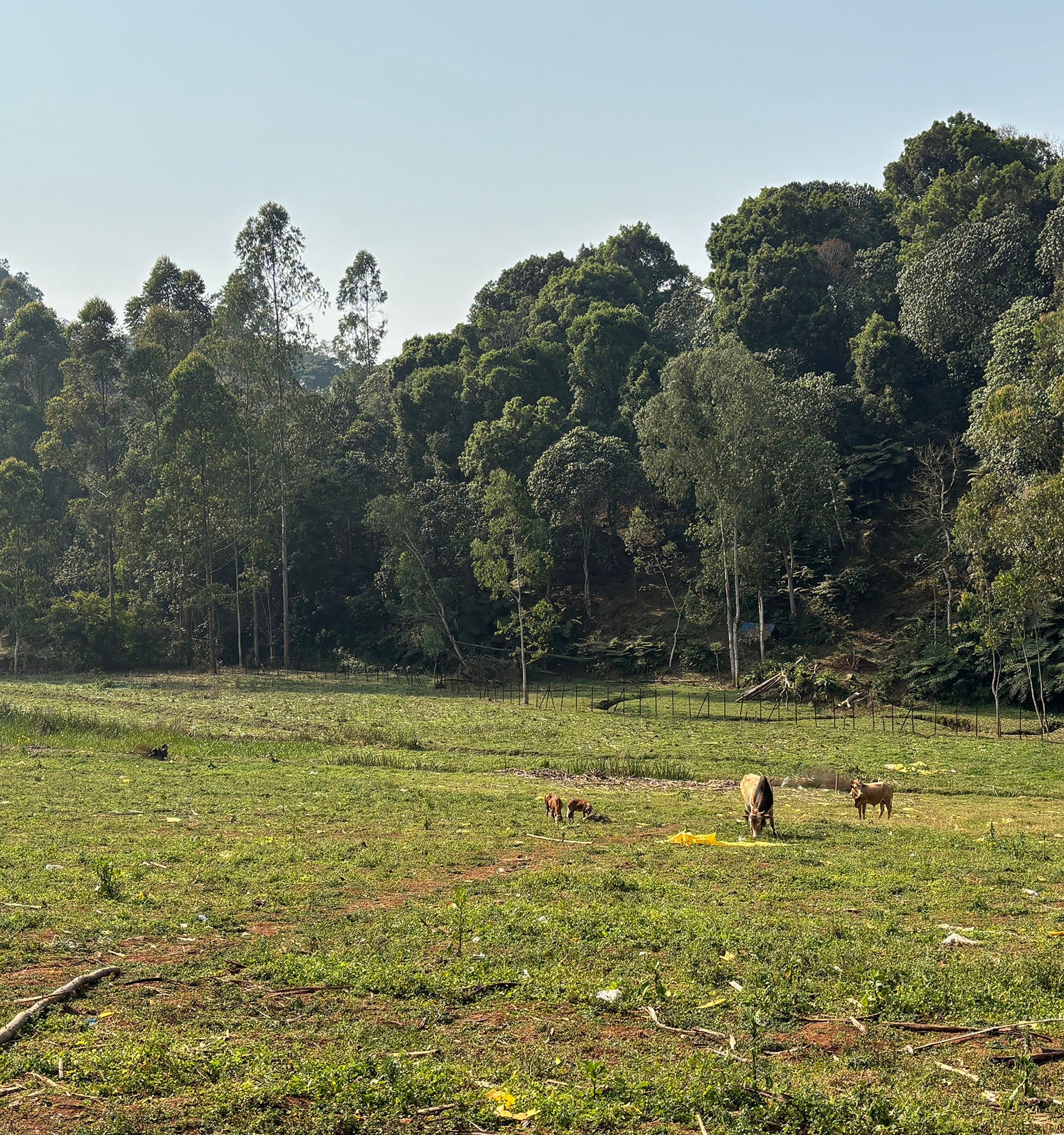 Tout - Producers: Duromina Cooperative - Slider 2