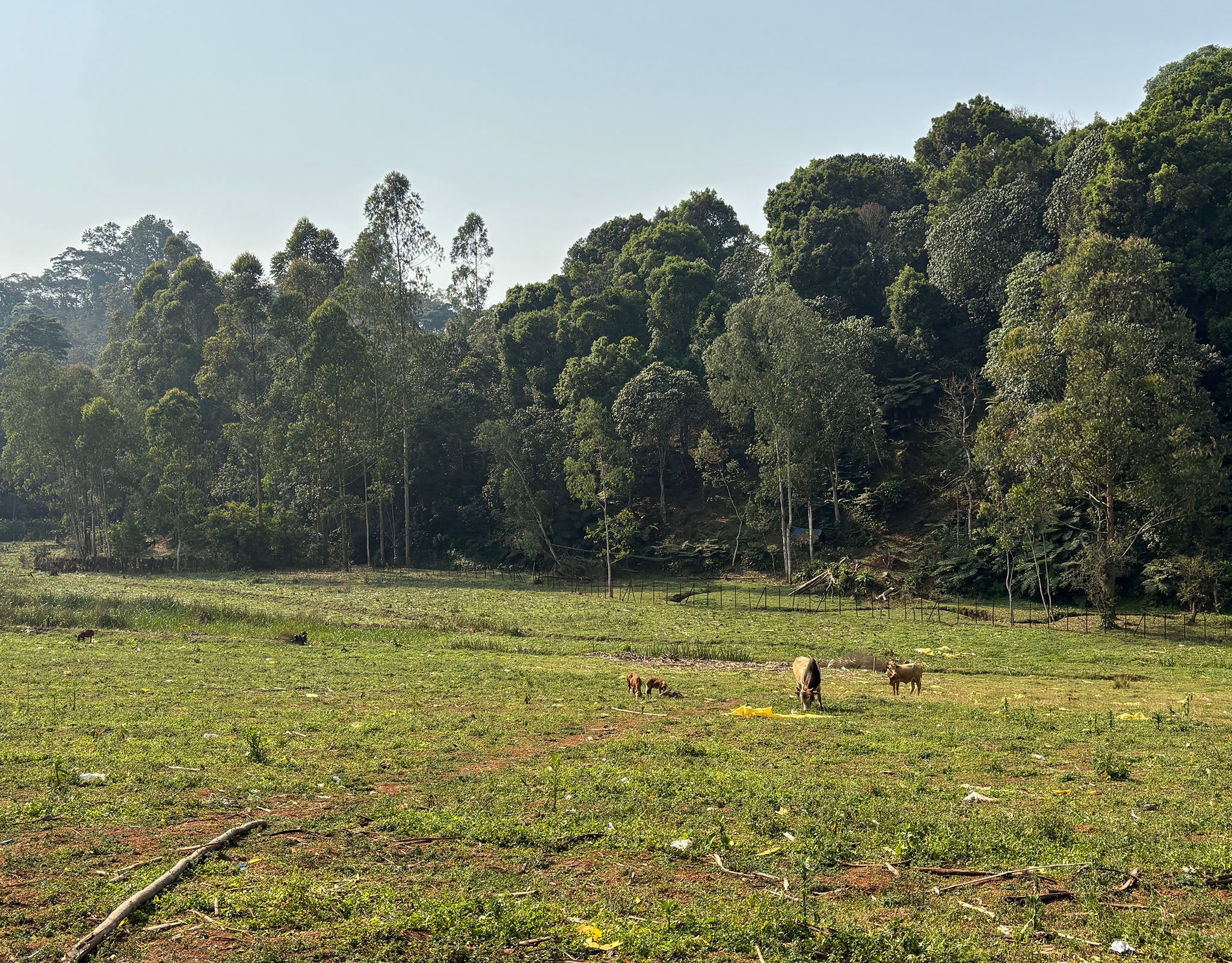 Tout - Producers: Duromina Cooperative - Slider 2