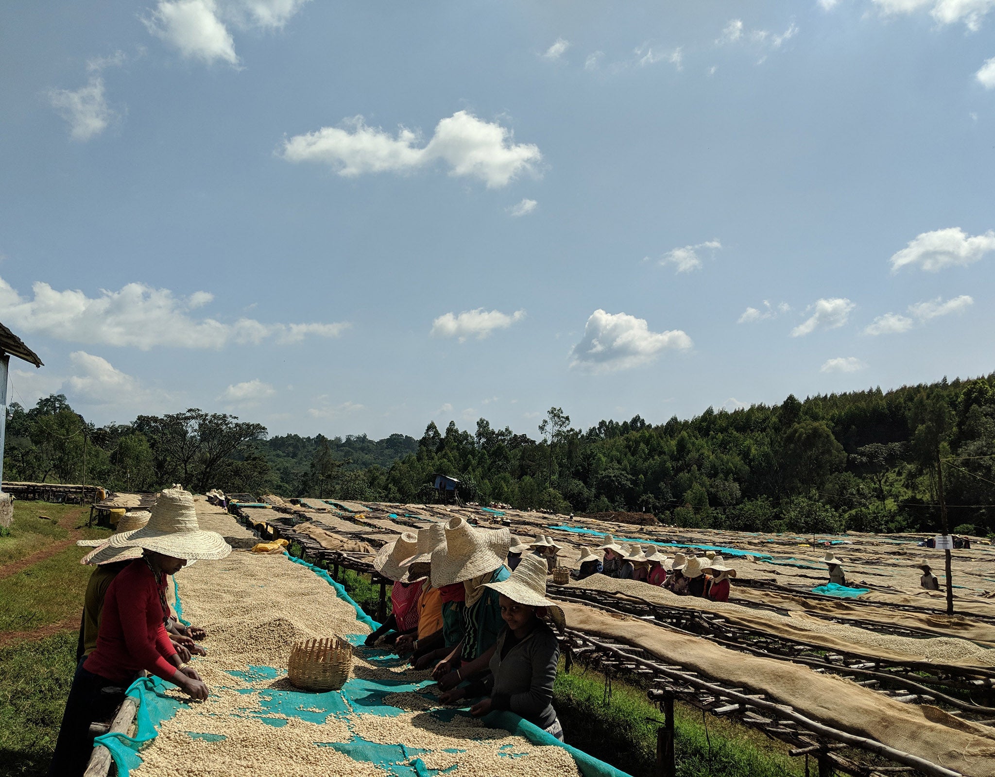 Tout - Producers: Nano Challa Cooperative - Slider 2