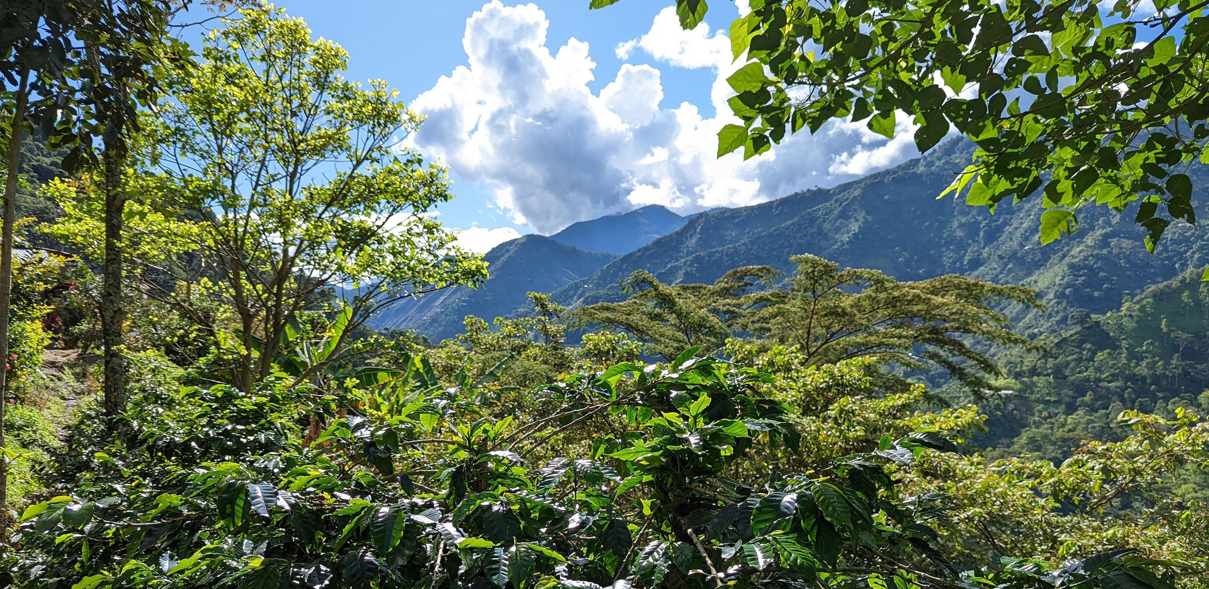 Tout - Producers: El Jordan - Slider 1