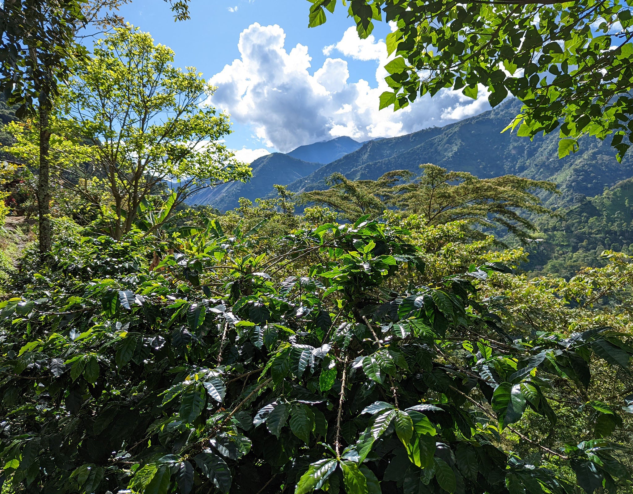 Tout - Producers: El Jordan - Slider 1