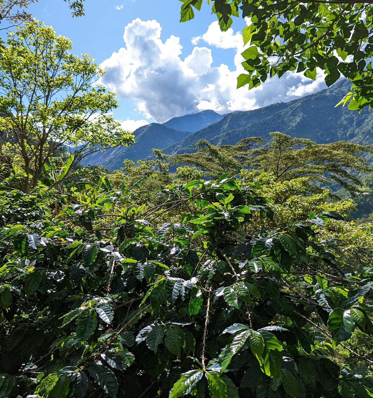 Tout - Producers: El Jordan - Slider 1