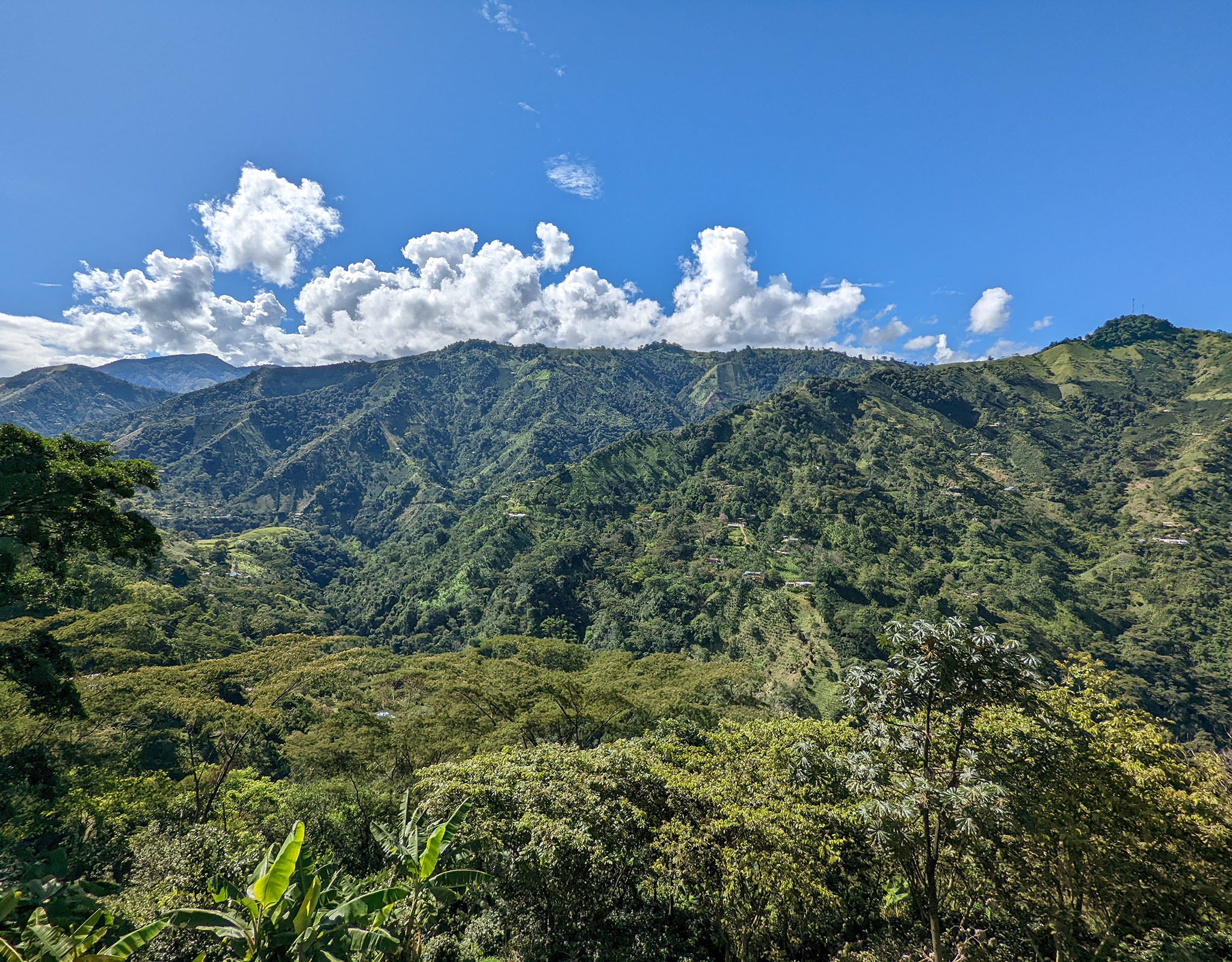 Tout - Producers: El Jordan - Slider 2