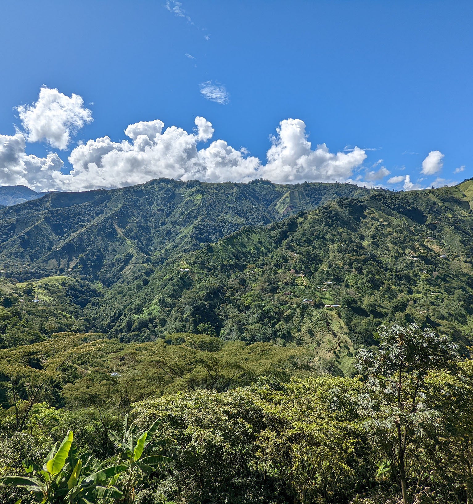 Tout - Producers: El Jordan - Slider 2