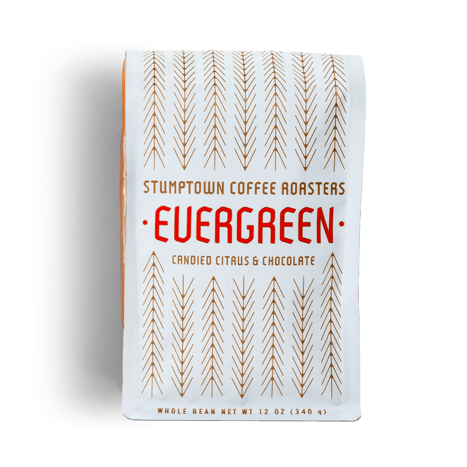 Photo of Evergreen