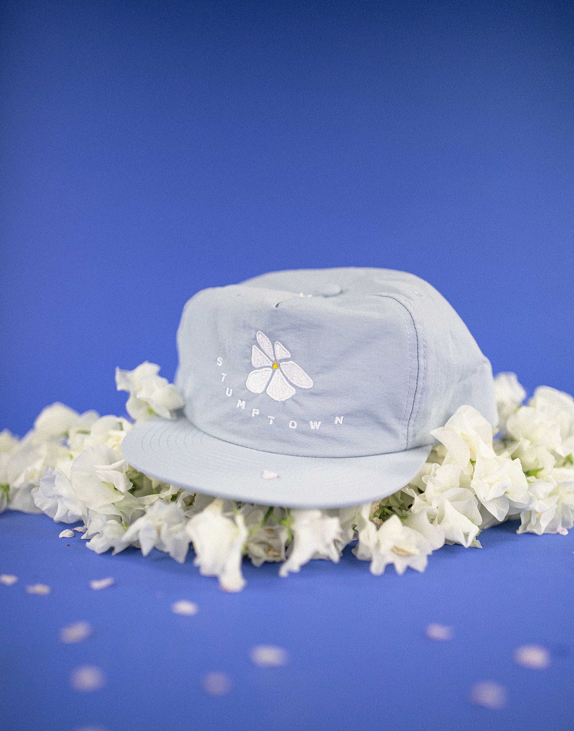 Daisy Dream Cap | Stumptown Coffee Roasters