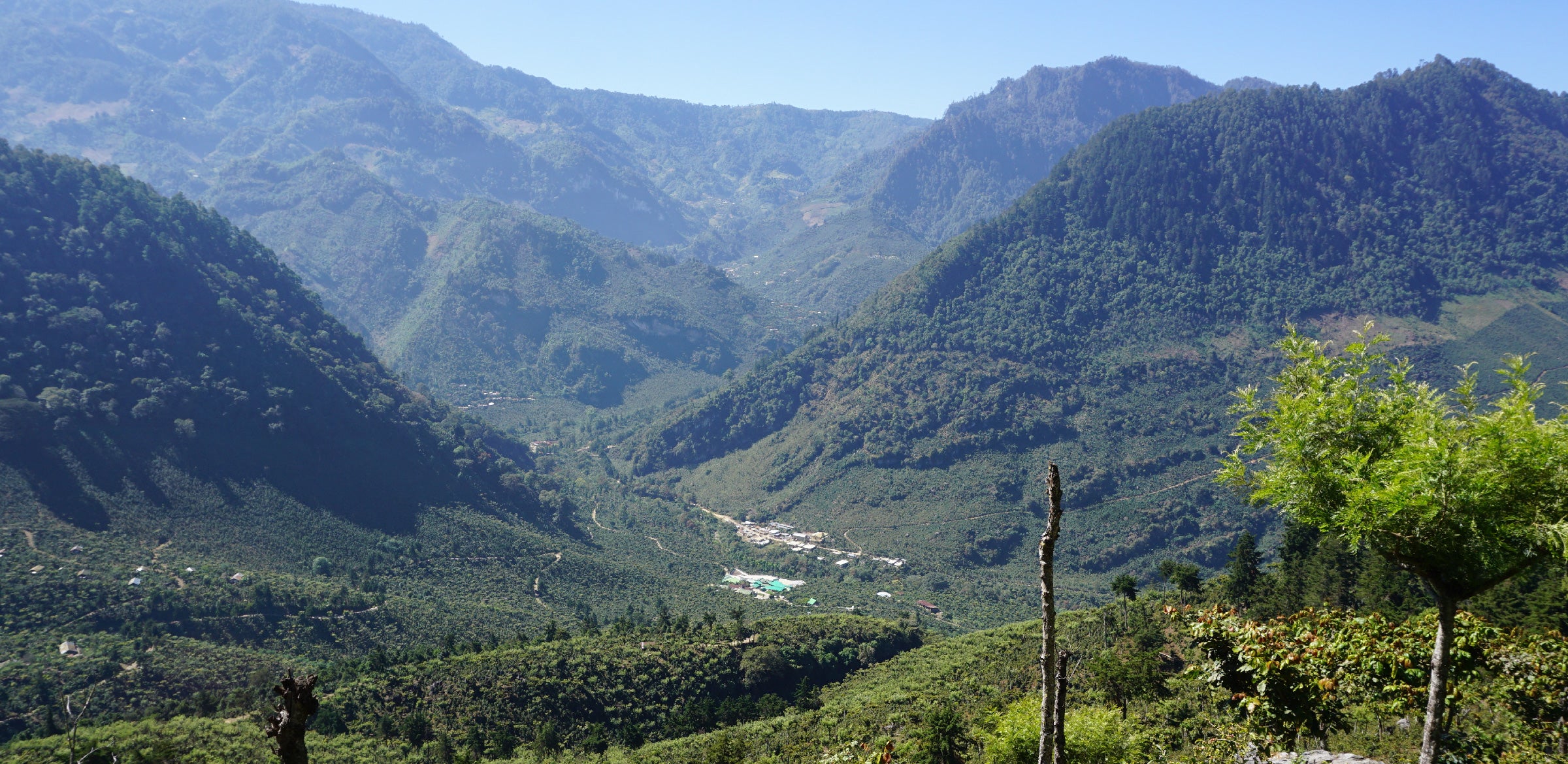 Tout - Producers: Arturo Aguirre Sr. & Jr. - Slider 3