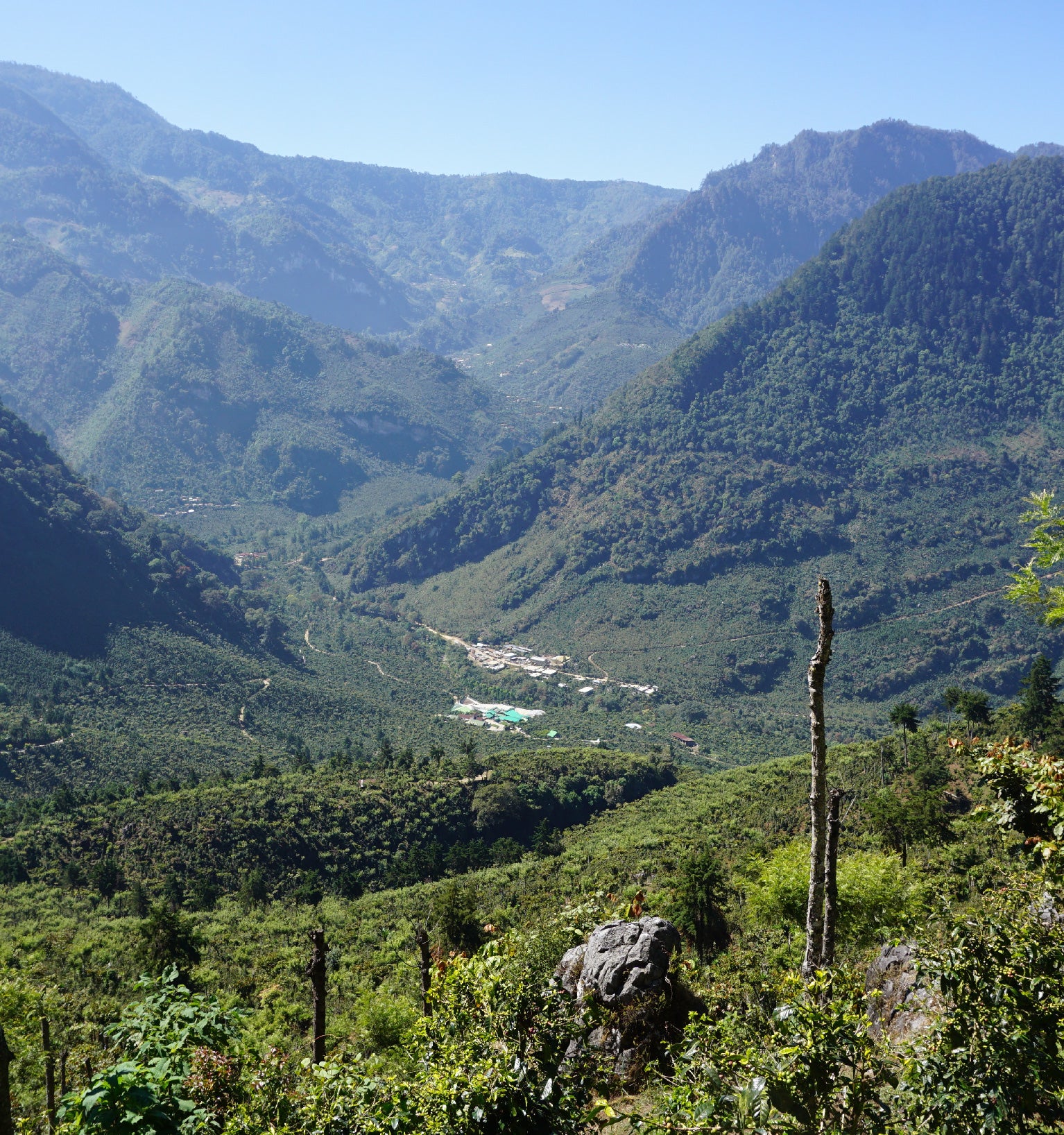 Tout - Producers: Arturo Aguirre Sr. & Jr. - Slider 3