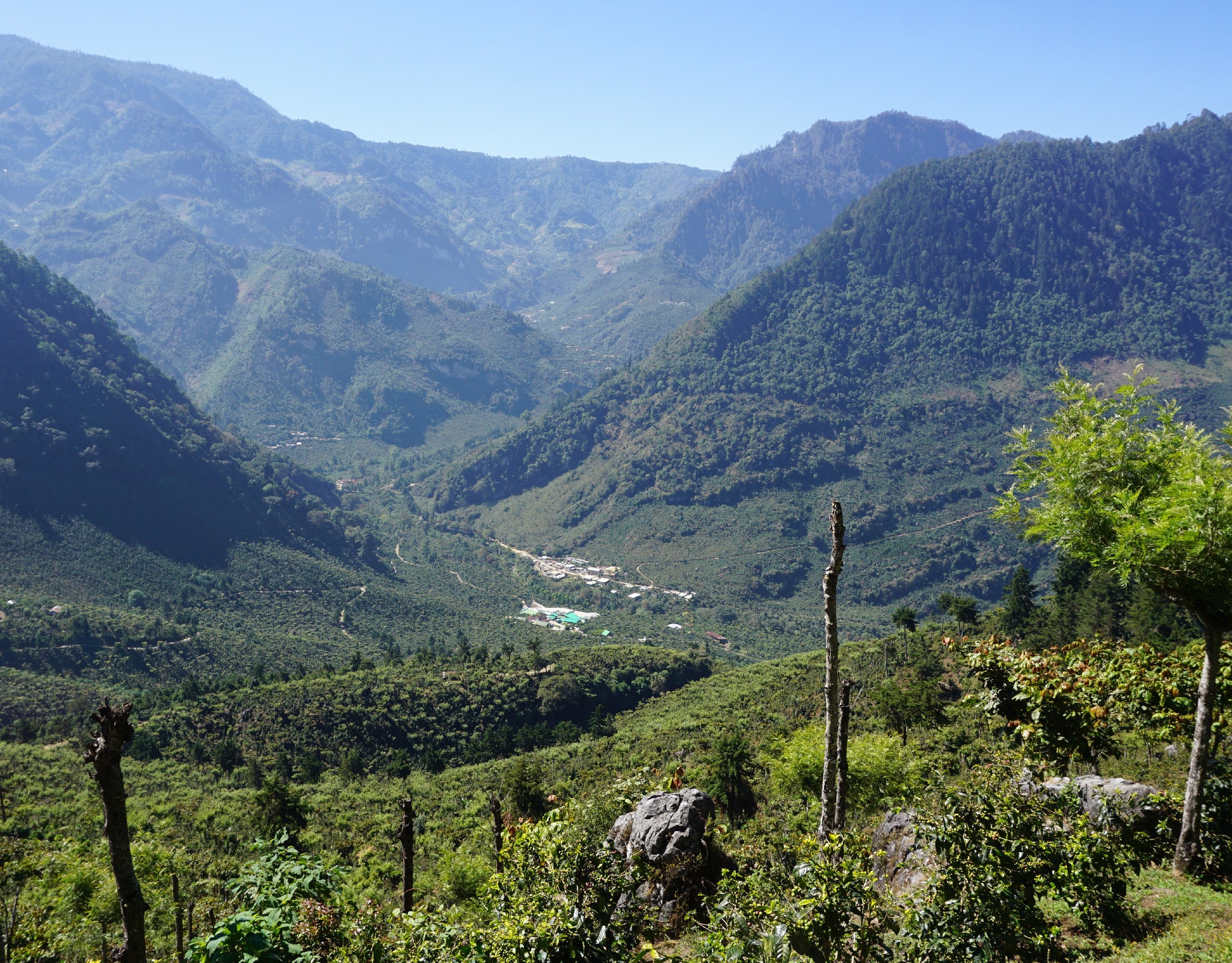 Tout - Producers: Arturo Aguirre Sr. & Jr. - Slider 3