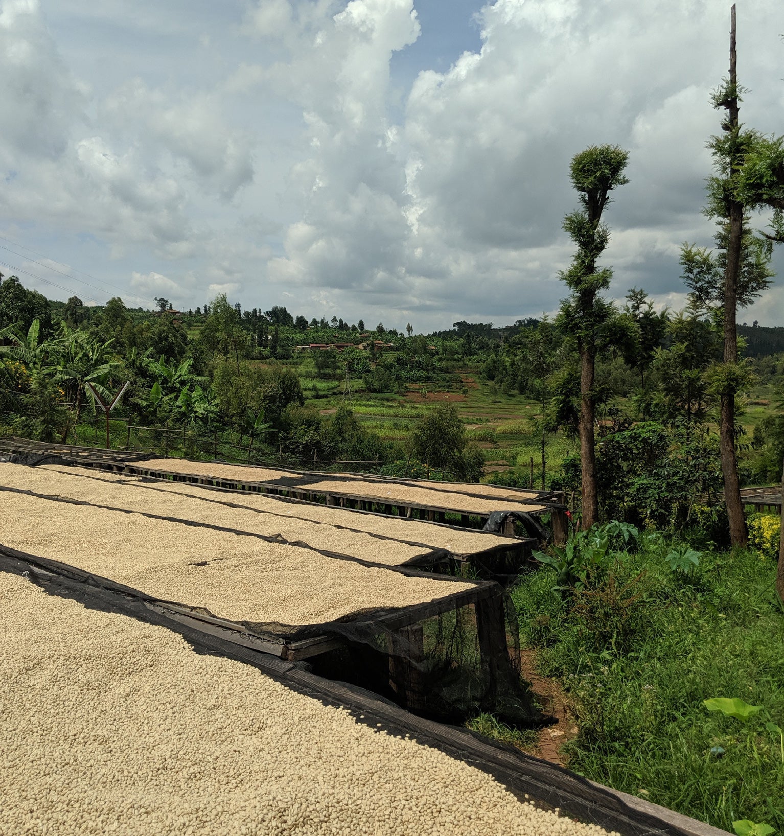 Tout - Producers: David Rubanzangabo - Slider 1