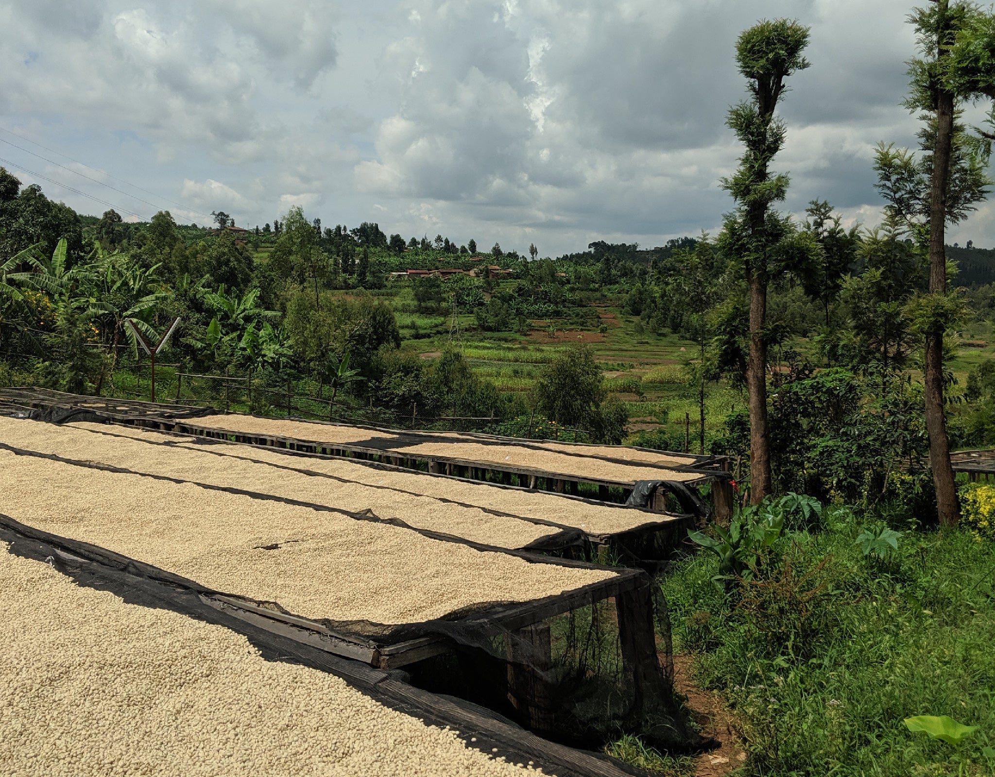 Tout - Producers: David Rubanzangabo - Slider 1