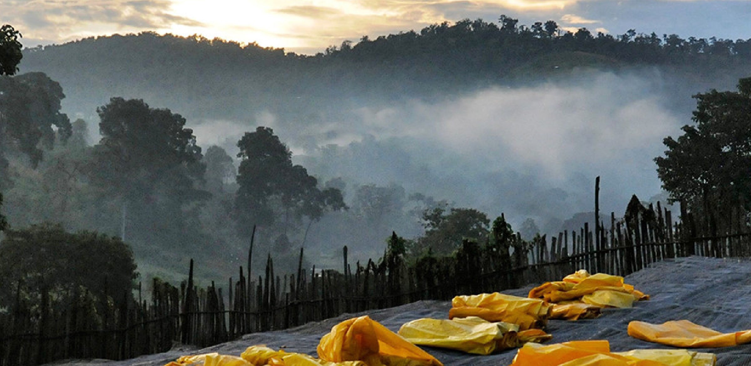 Tout - Producers: Haile Gebre - Slider 1