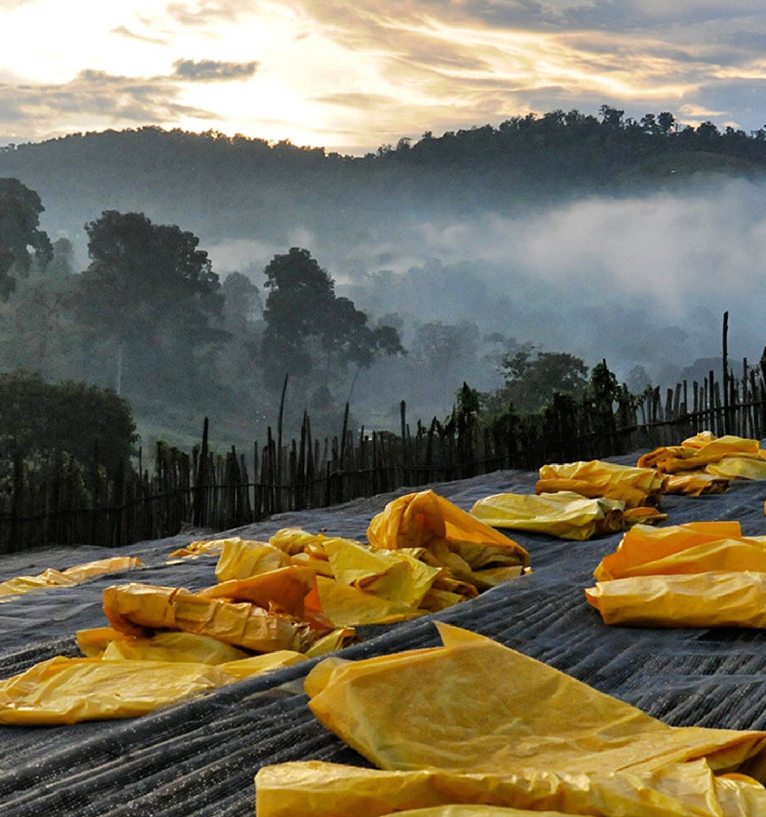 Tout - Producers: Haile Gebre - Slider 1