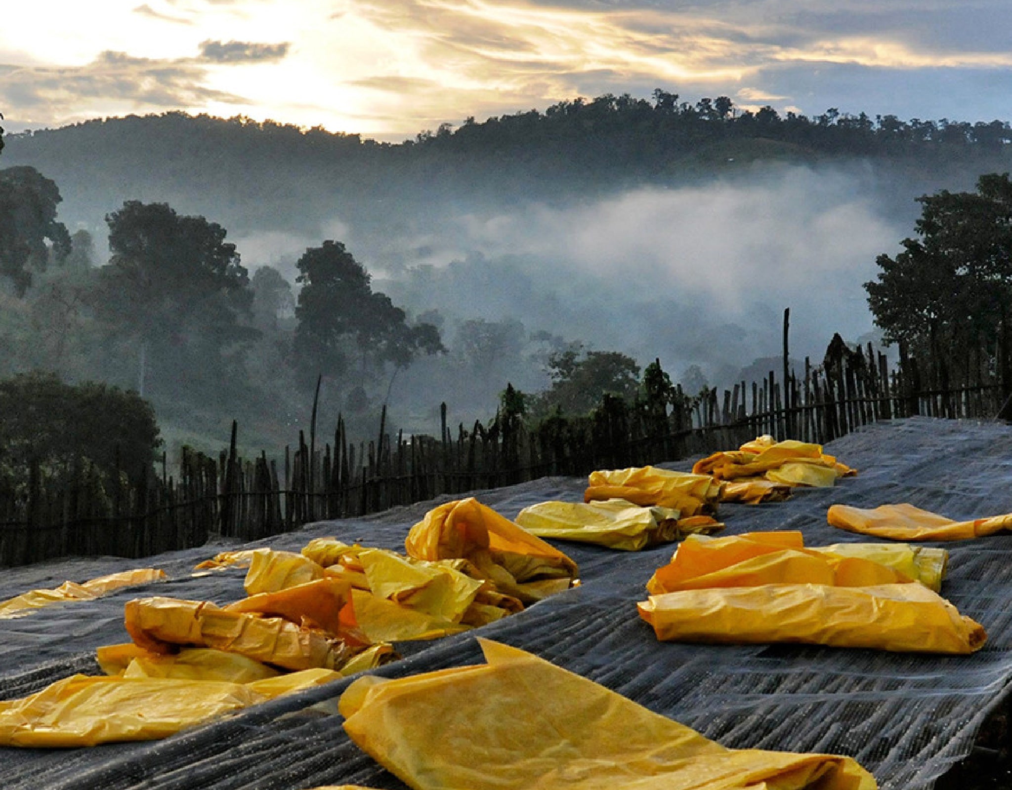 Tout - Producers: Haile Gebre - Slider 1