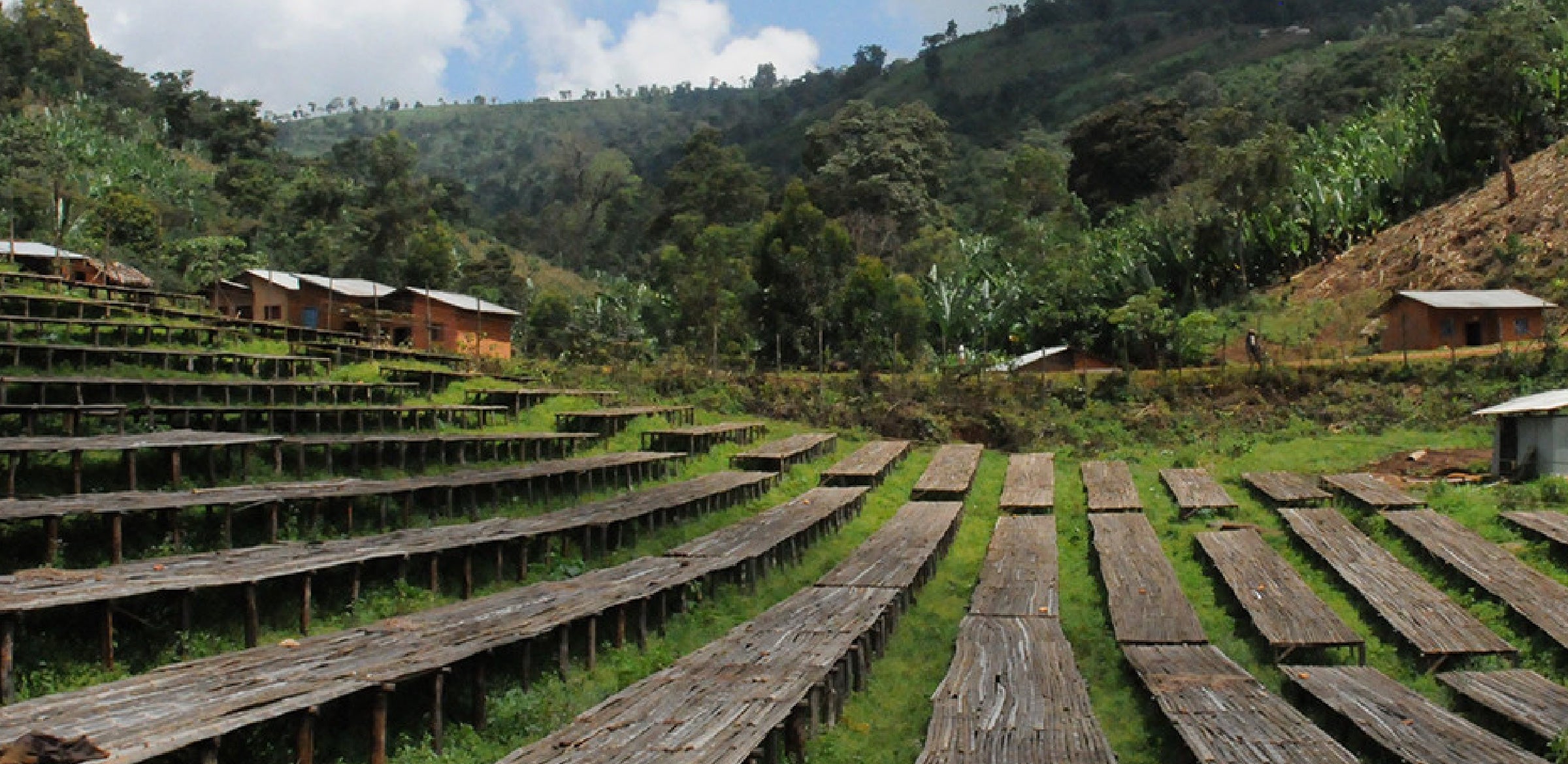 Tout - Producers: Haile Gebre - Slider 3