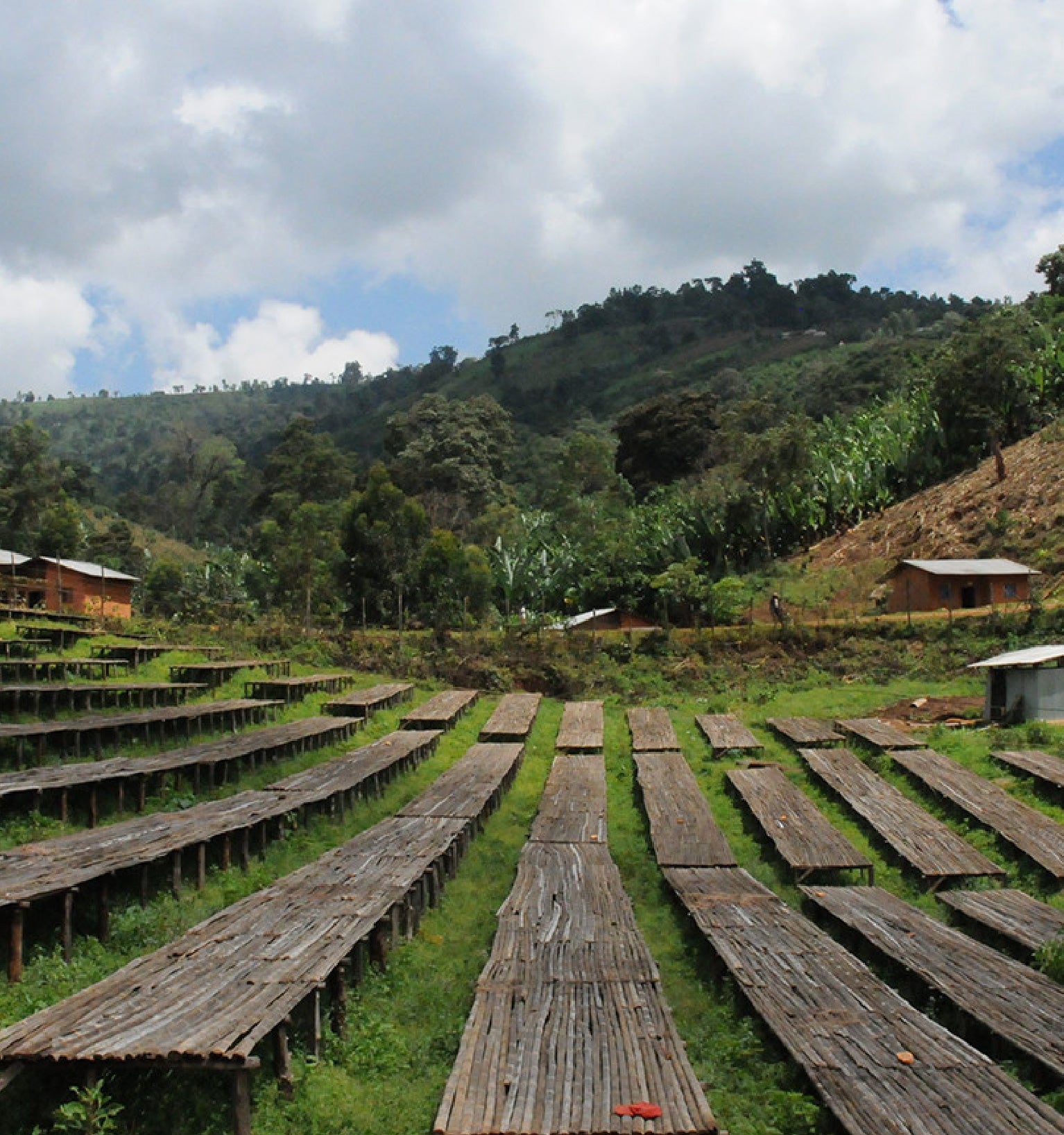 Tout - Producers: Haile Gebre - Slider 3