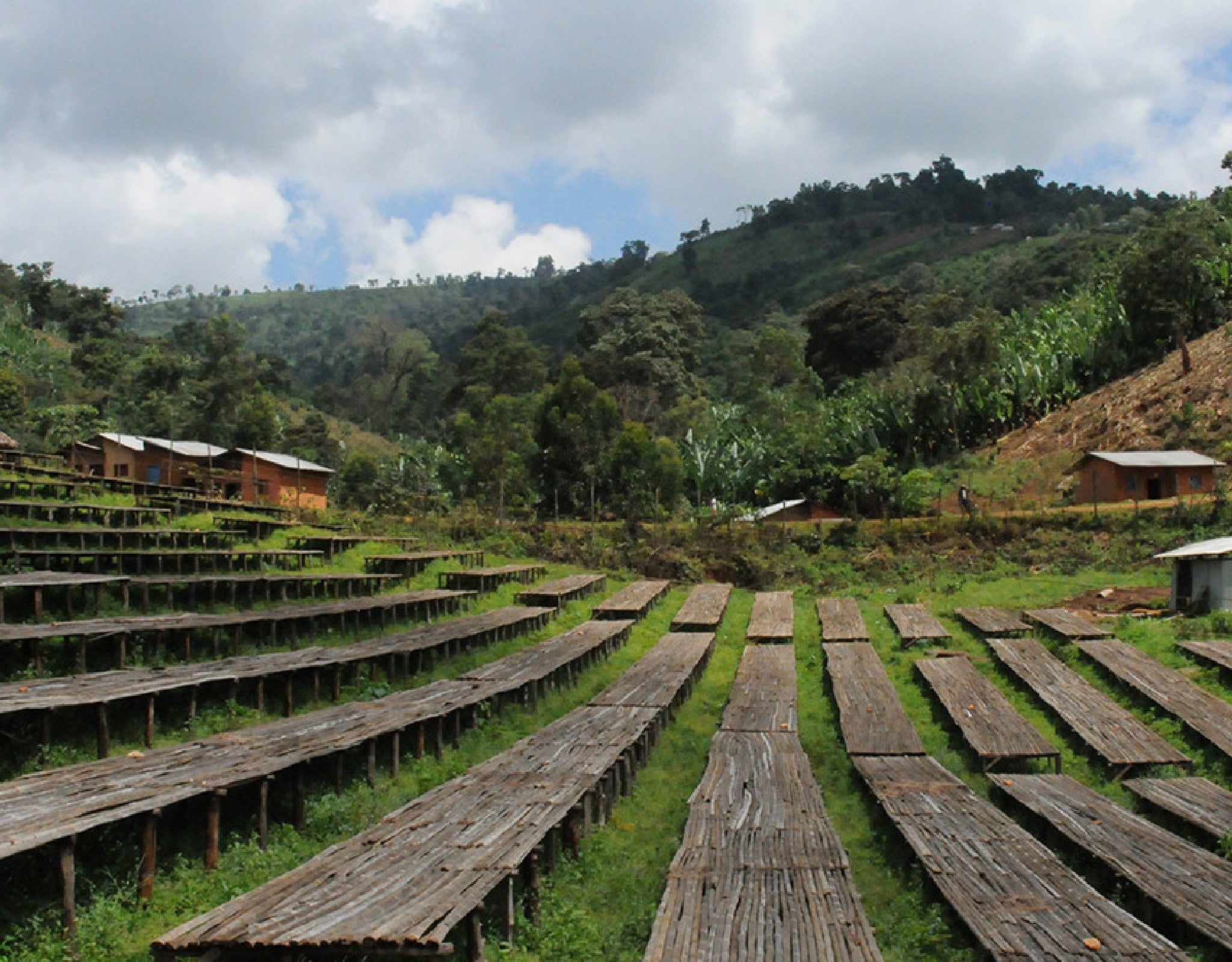 Tout - Producers: Haile Gebre - Slider 3