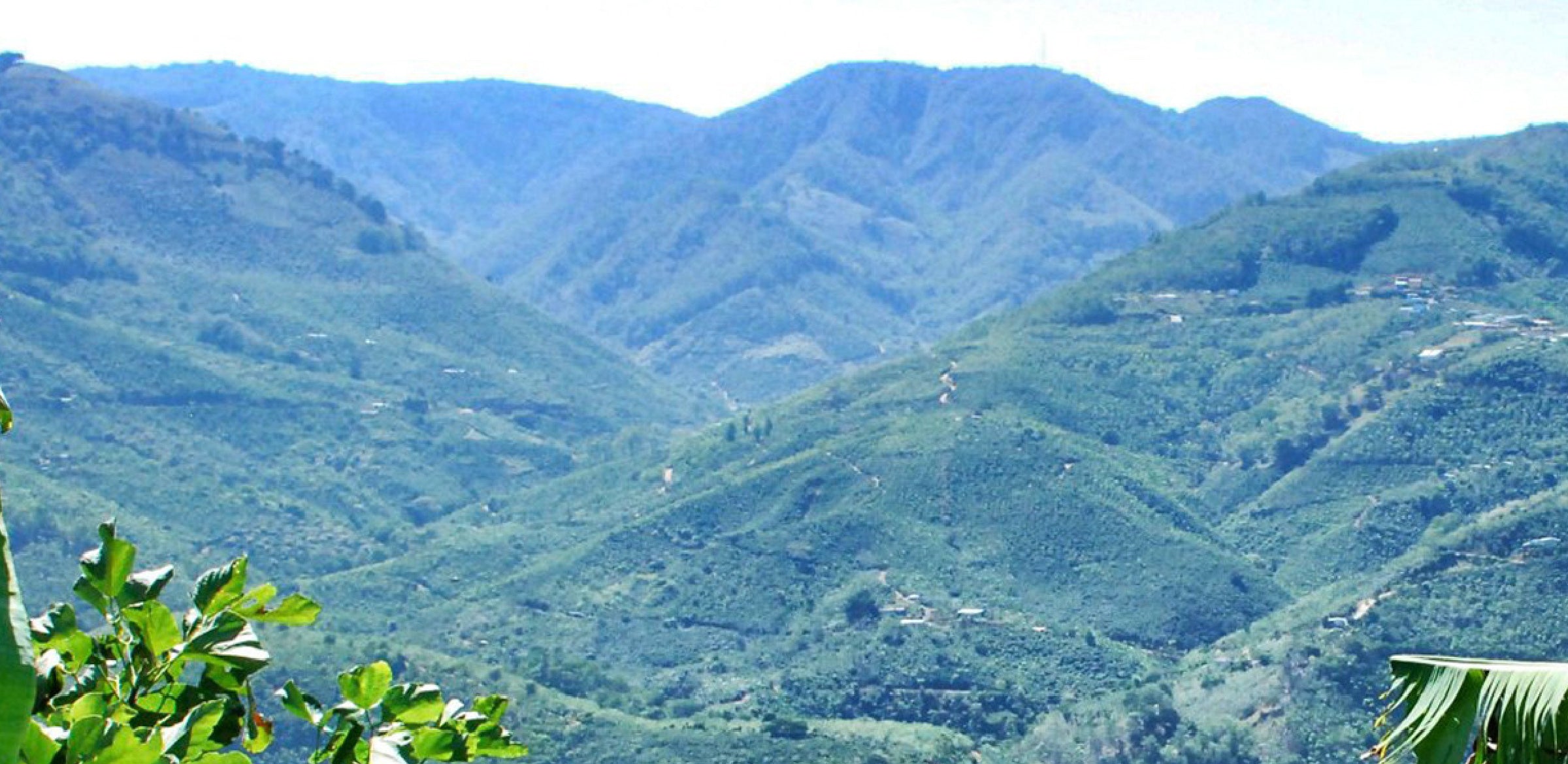 Tout - Producers: Marvin Robles - Slider 1