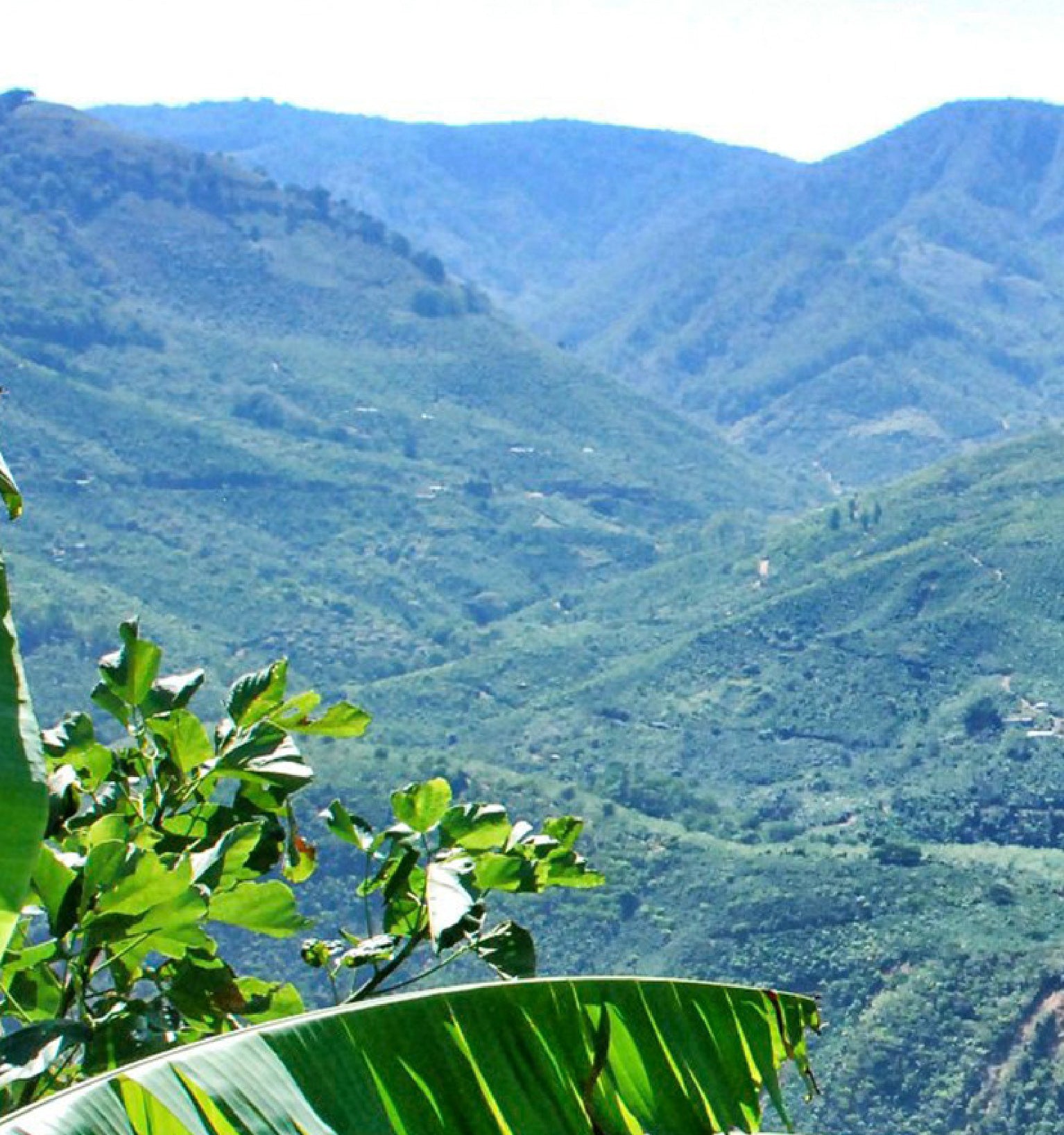 Tout - Producers: Marvin Robles - Slider 1