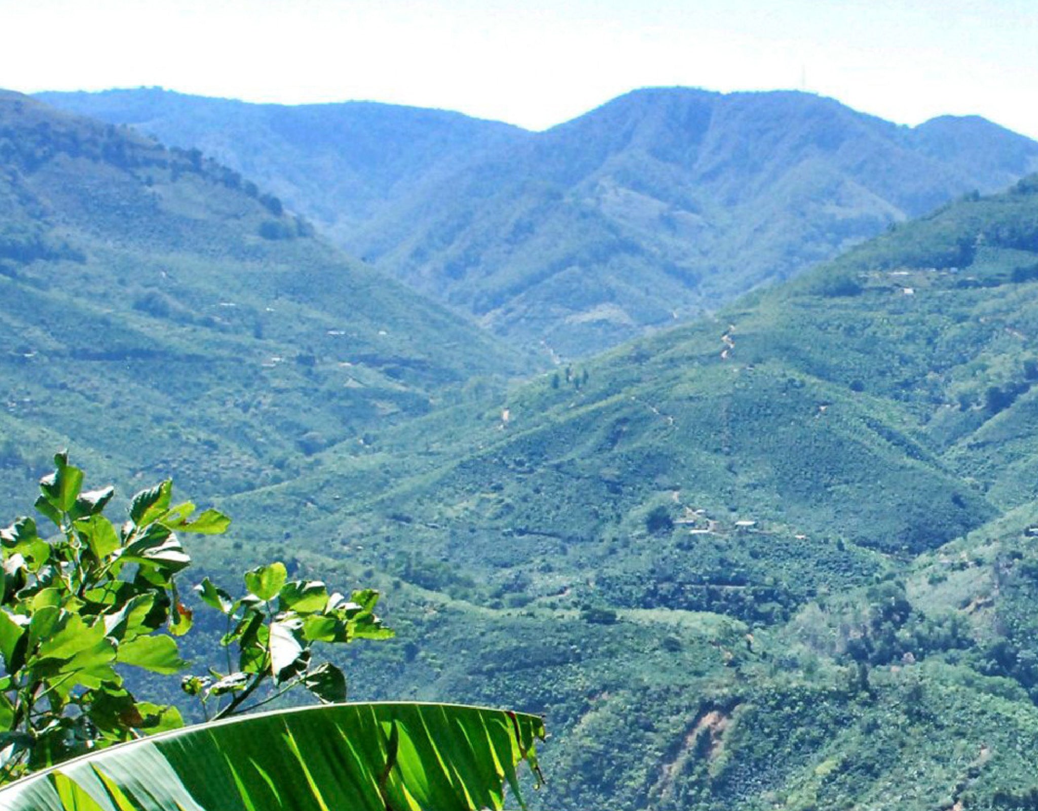 Tout - Producers: Marvin Robles - Slider 1