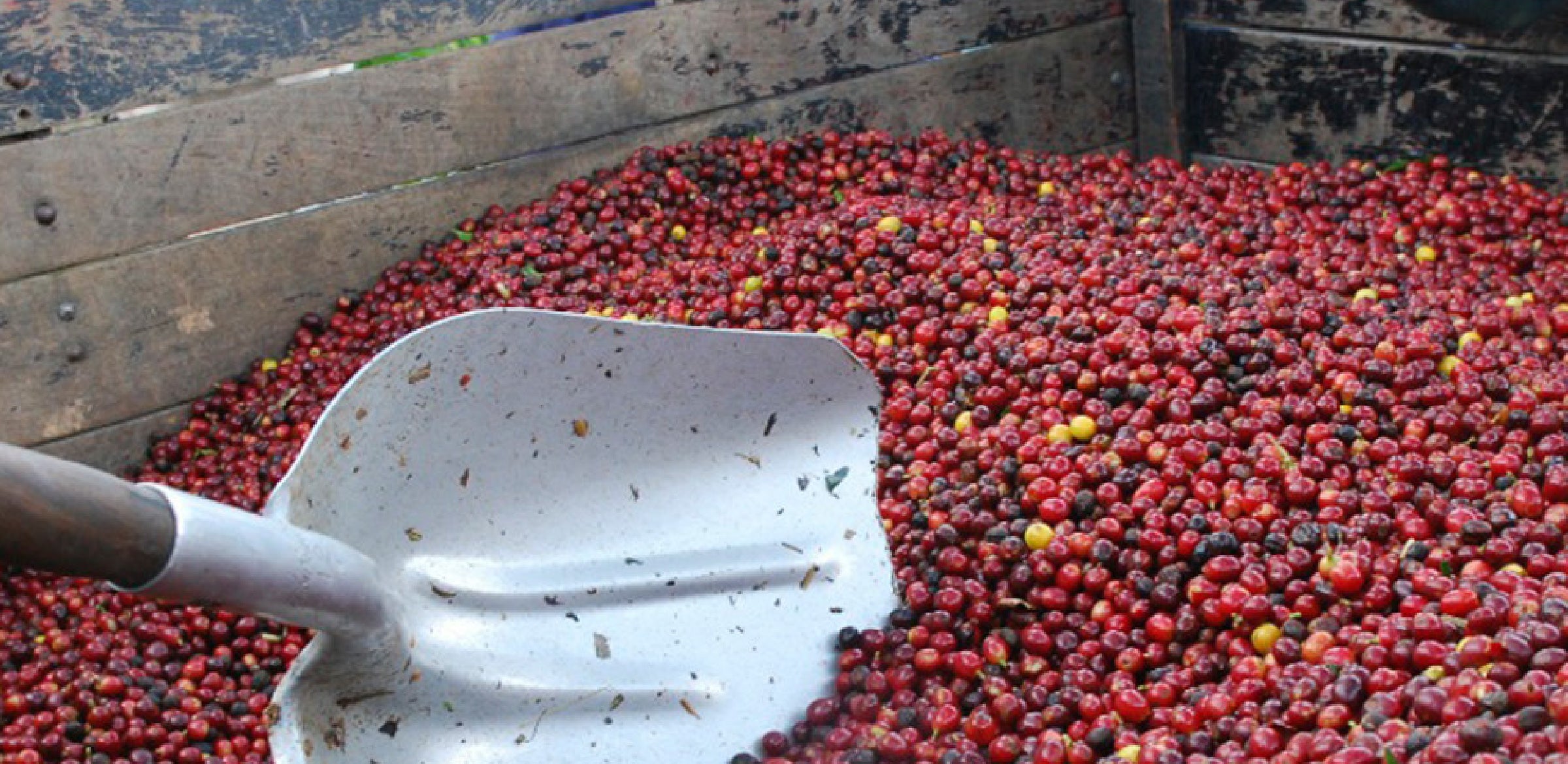 Tout - Producers: Marvin Robles - Slider 2