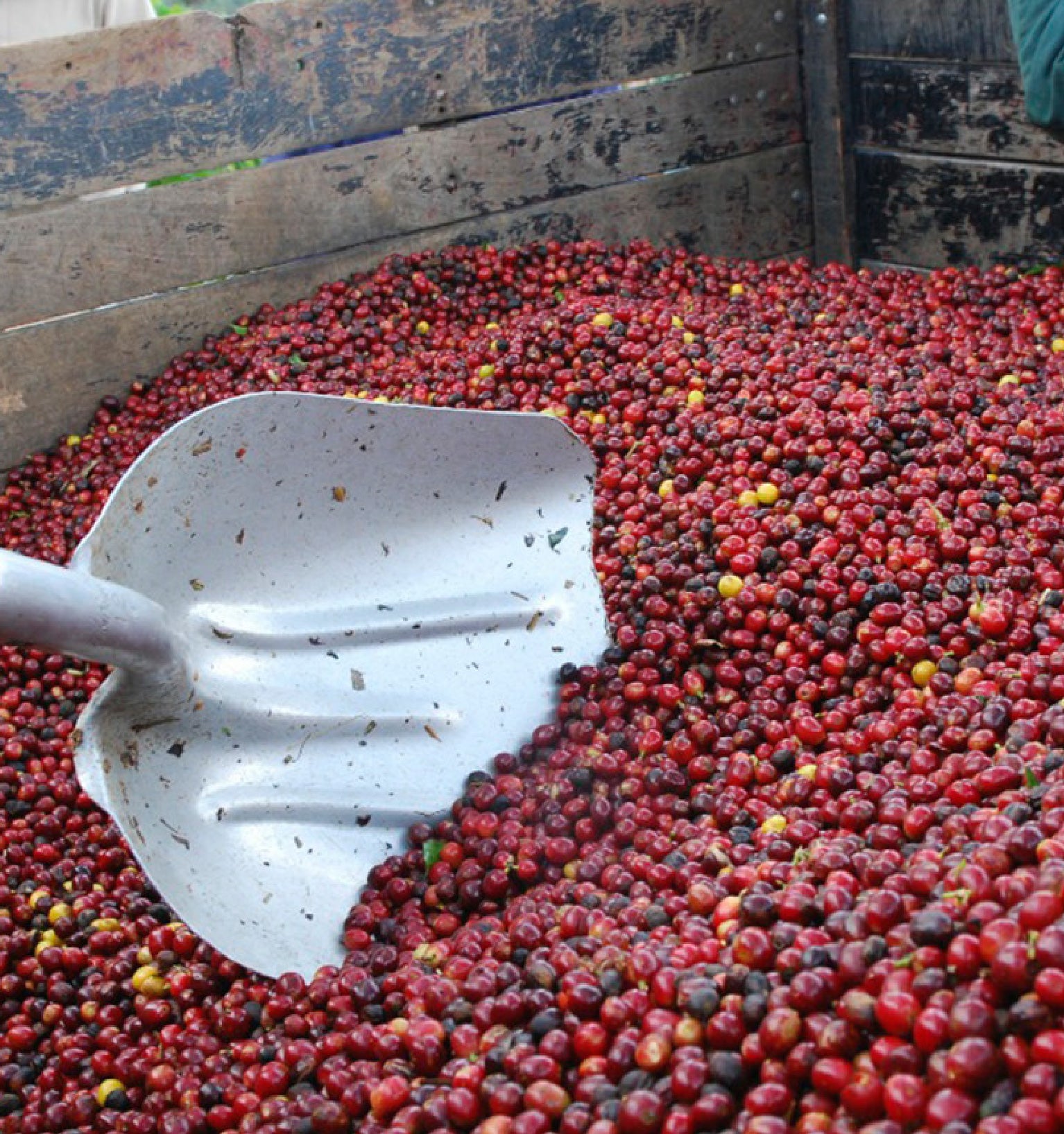 Tout - Producers: Marvin Robles - Slider 2