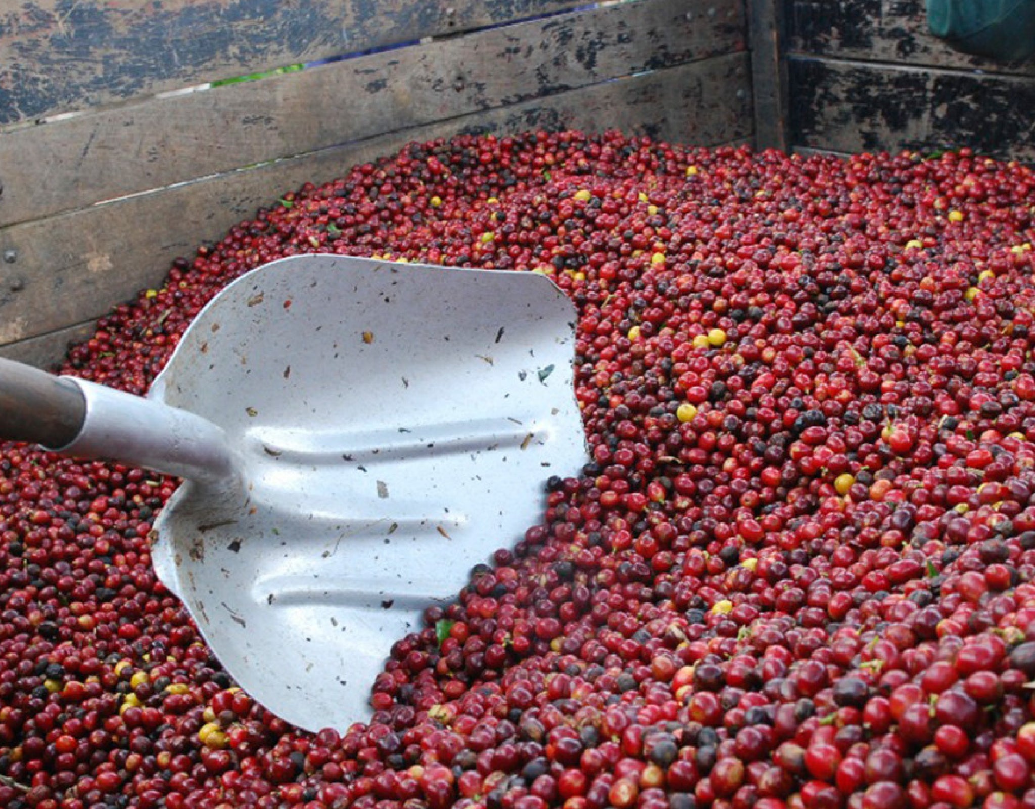 Tout - Producers: Marvin Robles - Slider 2