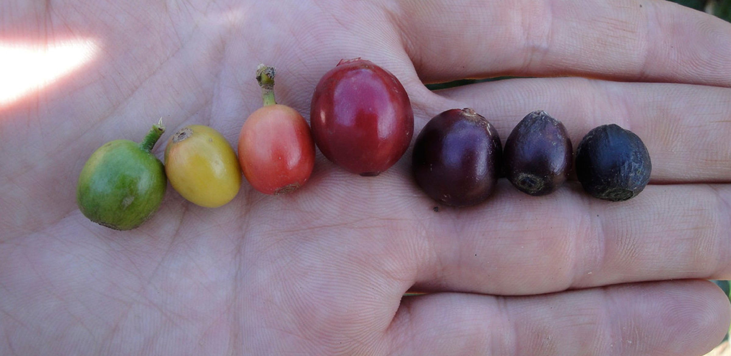 Tout - Producers: Marvin Robles - Slider 3