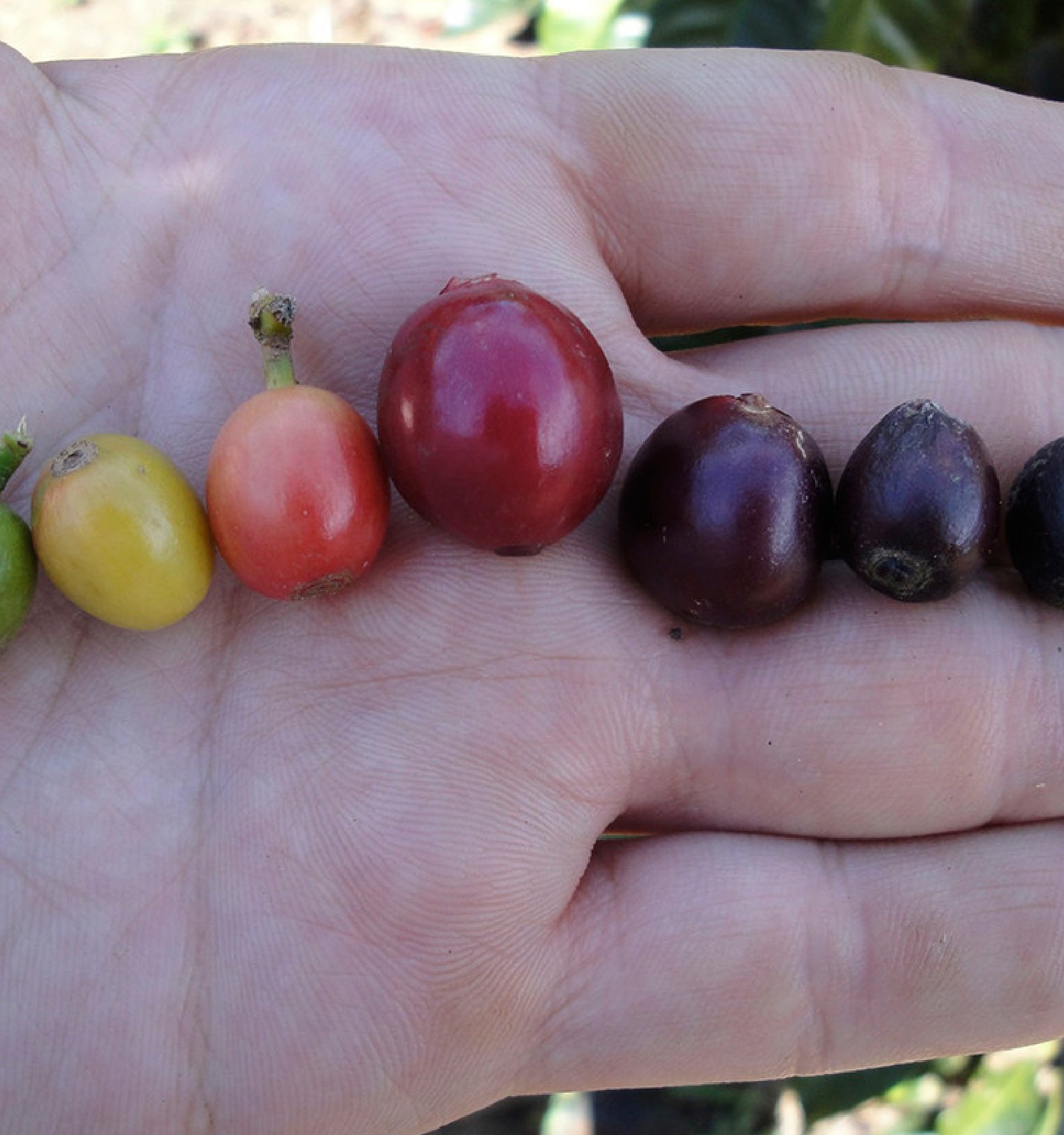 Tout - Producers: Marvin Robles - Slider 3