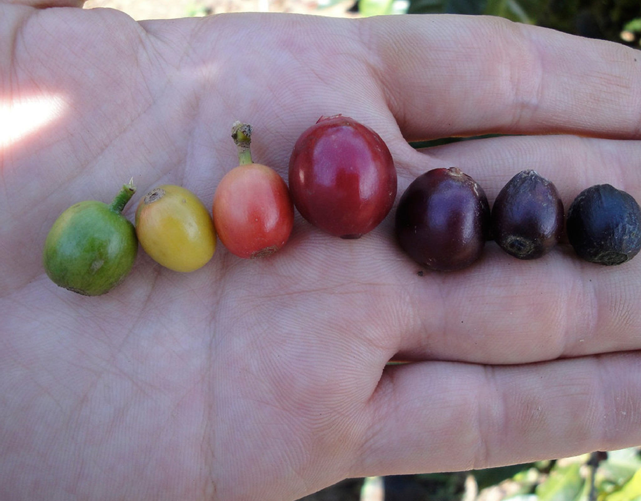 Tout - Producers: Marvin Robles - Slider 3