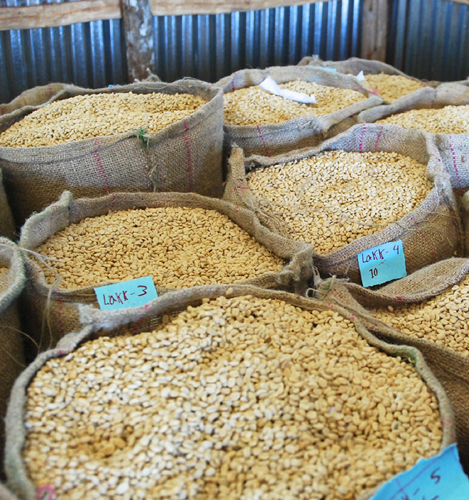 Tout - Producers: Nano Challa Cooperative - Slider 3