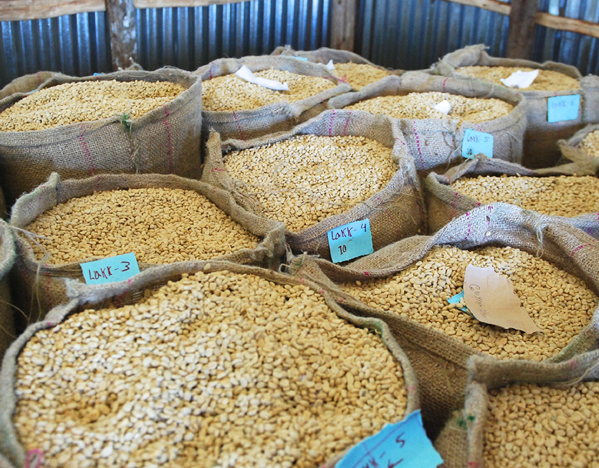 Tout - Producers: Nano Challa Cooperative - Slider 3