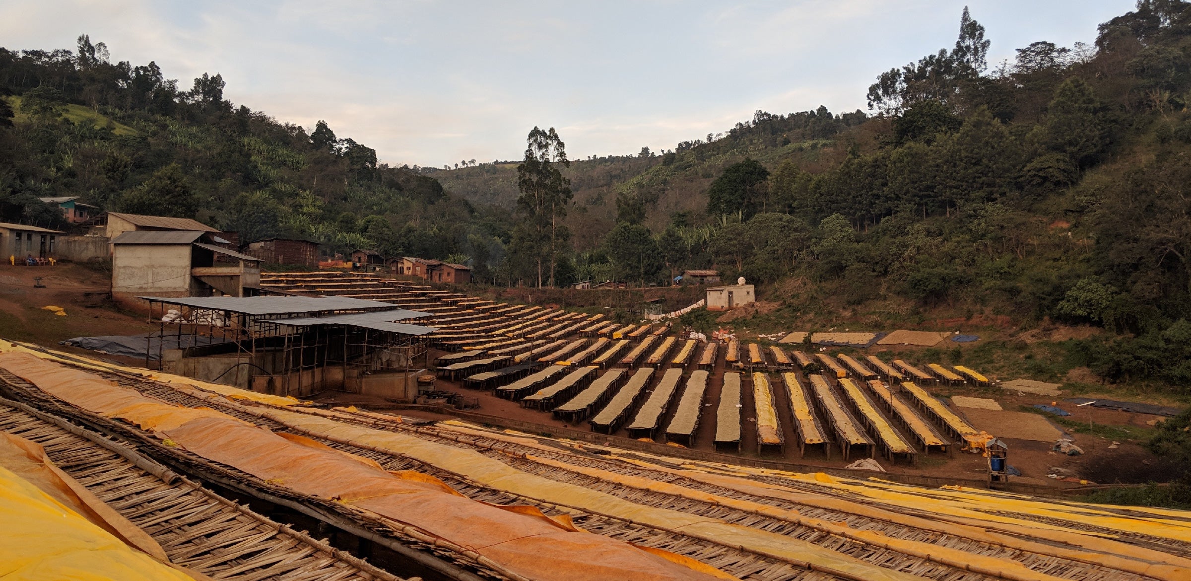 Tout - Producers: Tesfaye Bekele - Slider 1