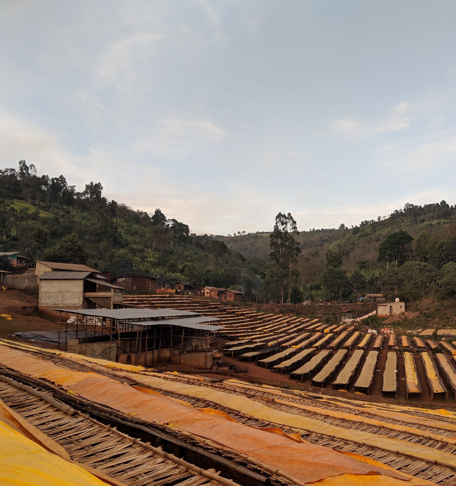 Tout - Producers: Tesfaye Bekele - Slider 1