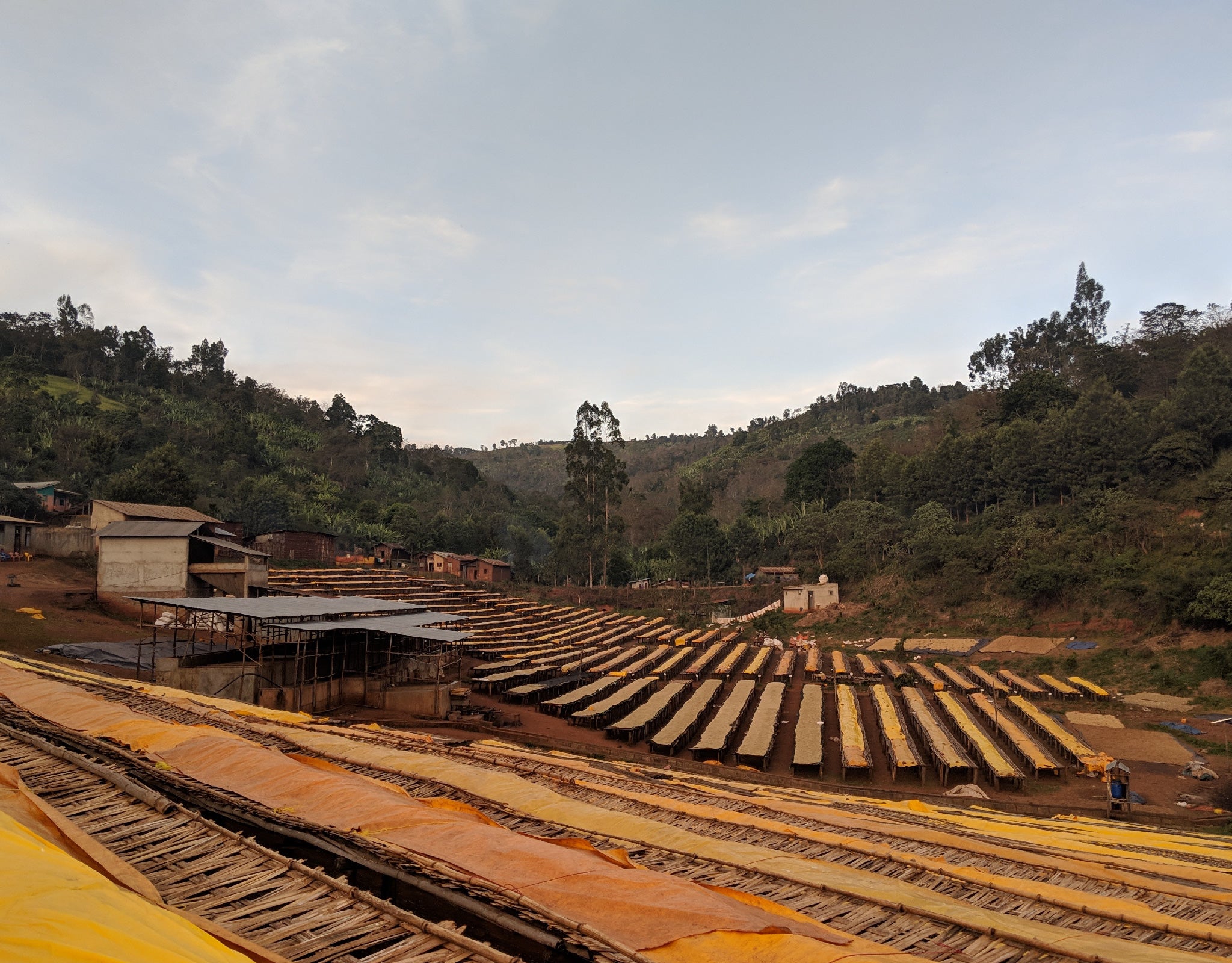 Tout - Producers: Tesfaye Bekele - Slider 1