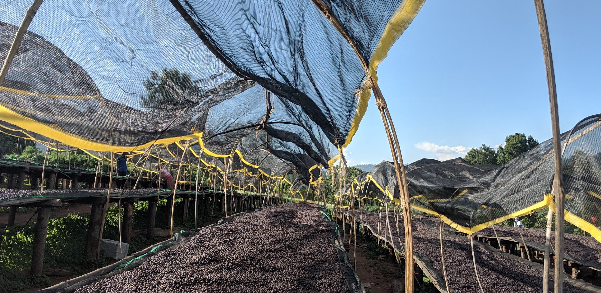 Tout - Producers: Tesfaye Bekele - Slider 2