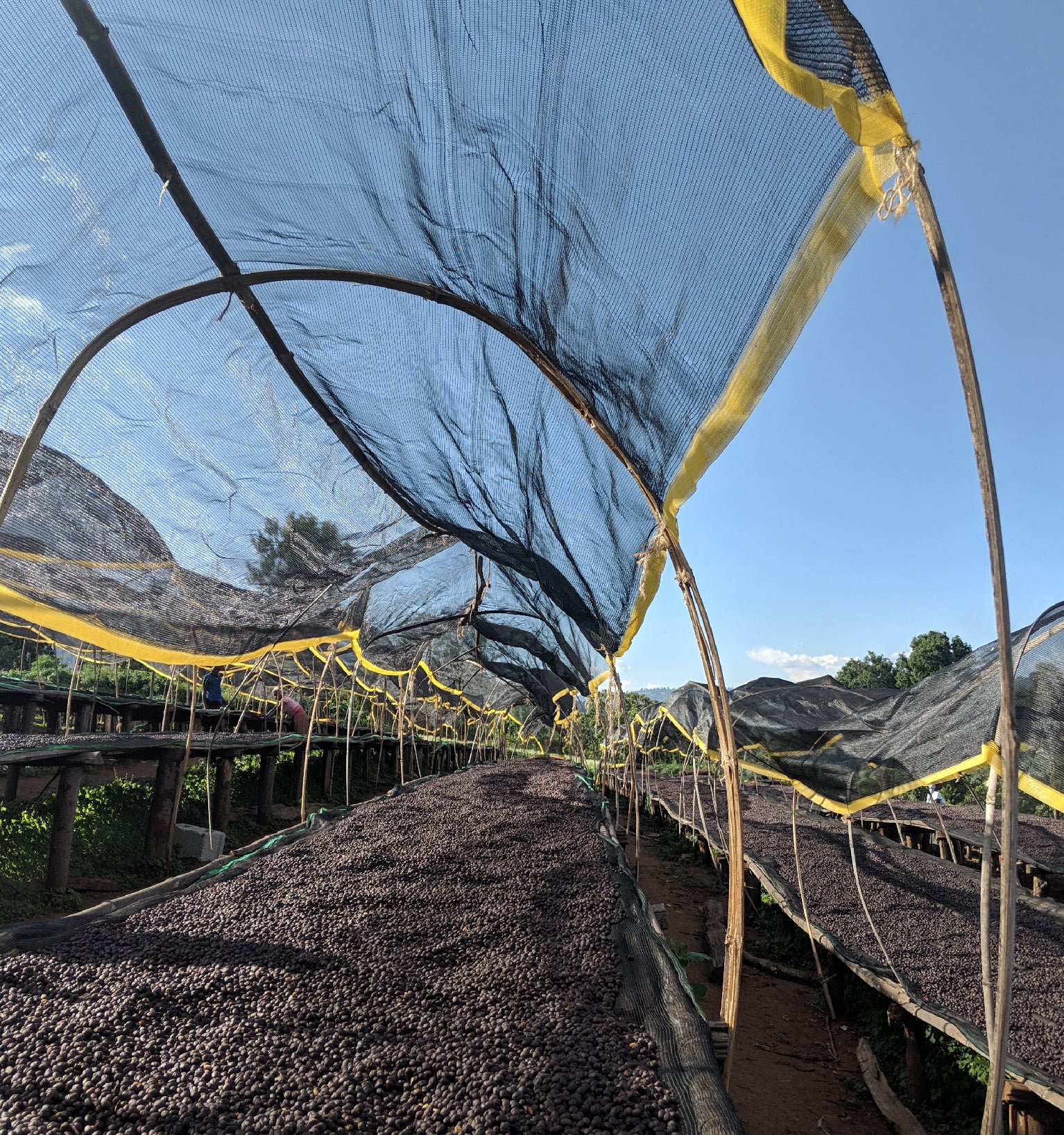 Tout - Producers: Tesfaye Bekele - Slider 2