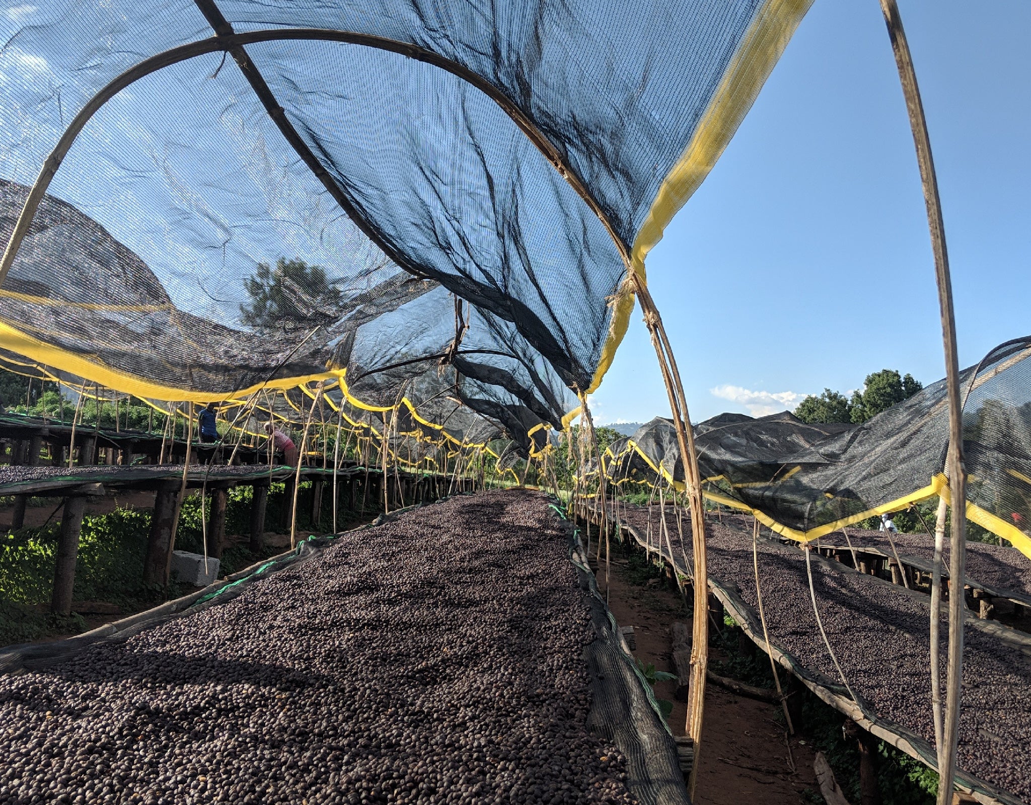 Tout - Producers: Tesfaye Bekele - Slider 2