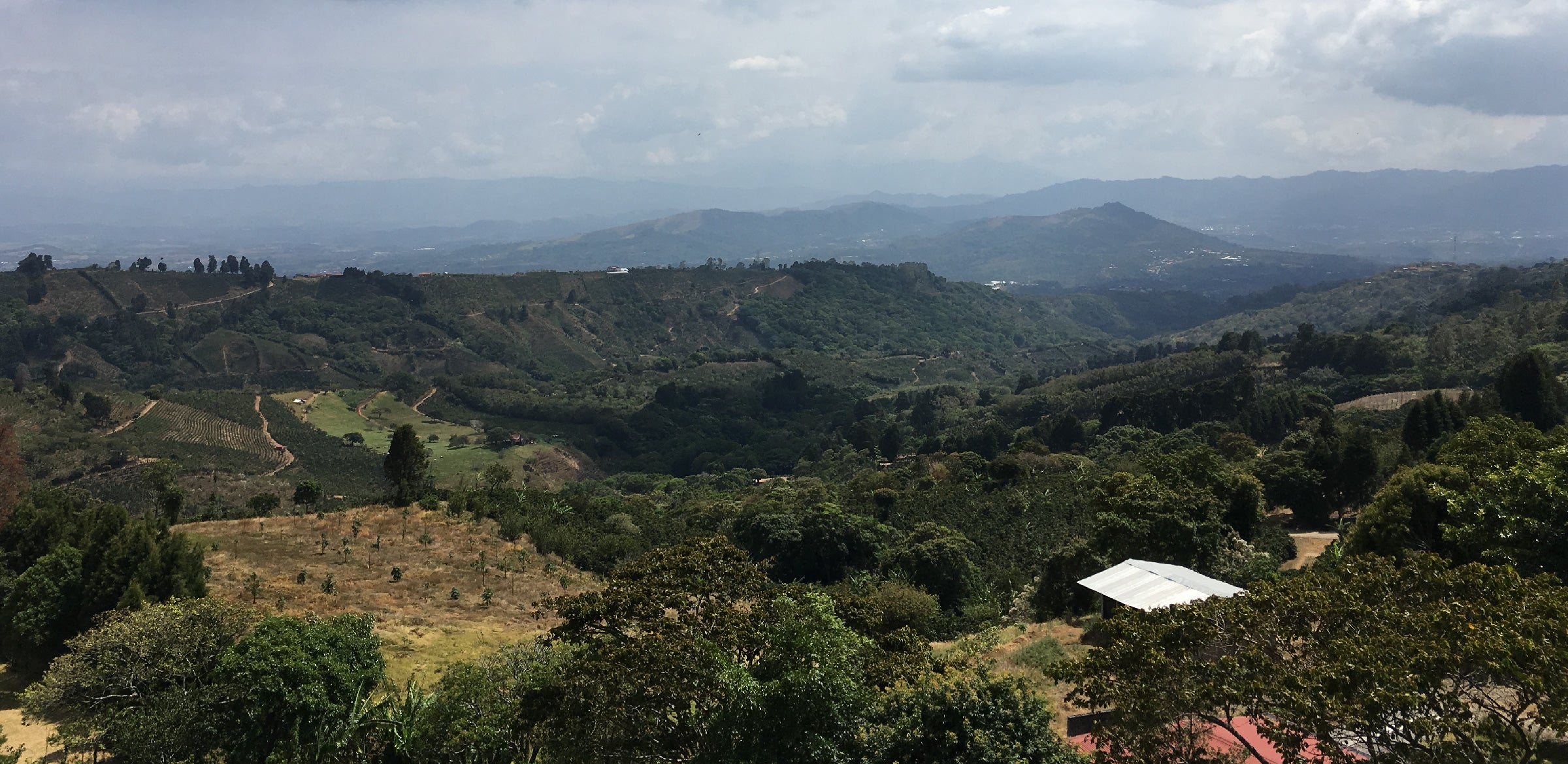 Tout - Producers: Torres Family - Slider 1