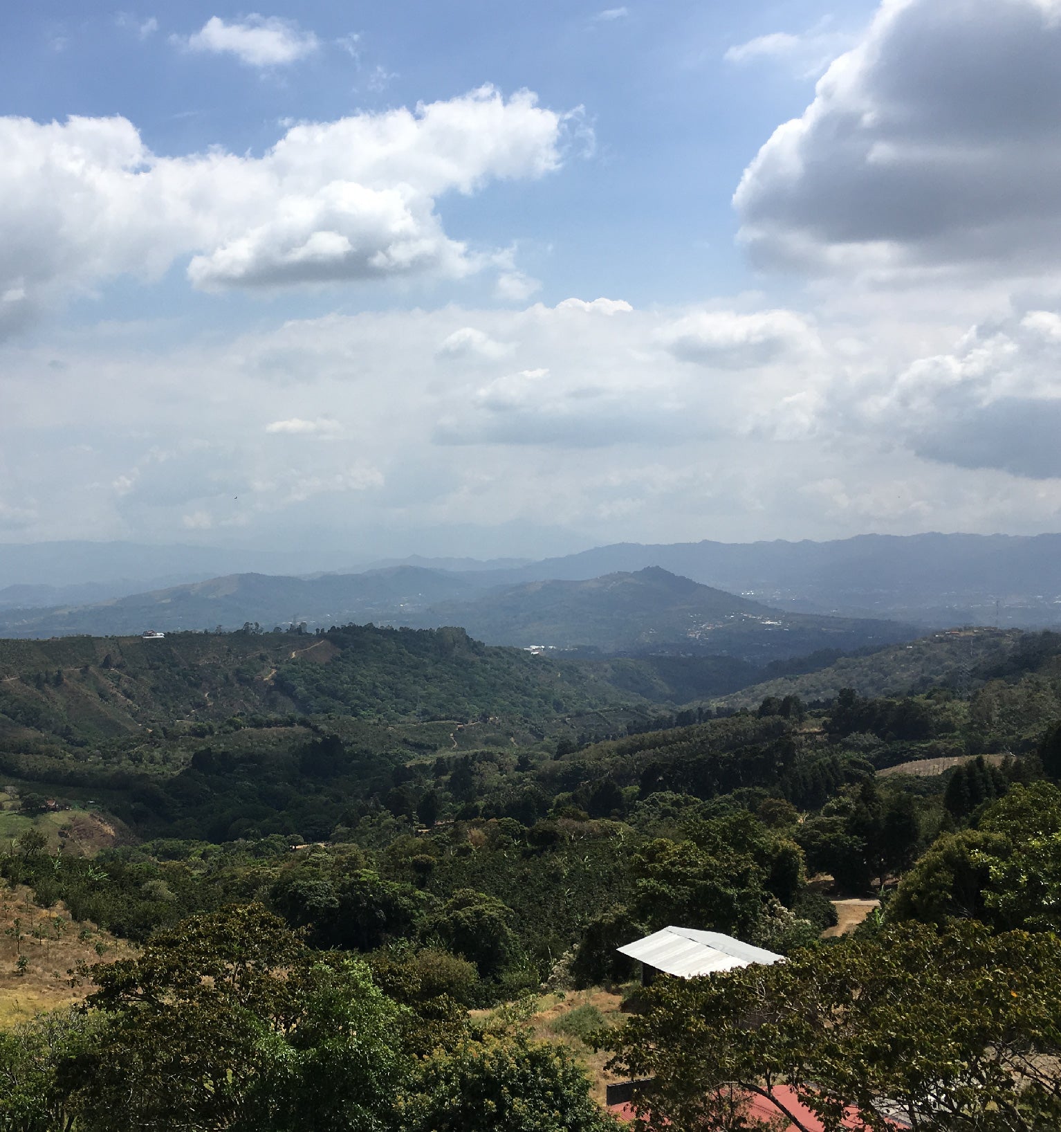 Tout - Producers: Torres Family - Slider 1