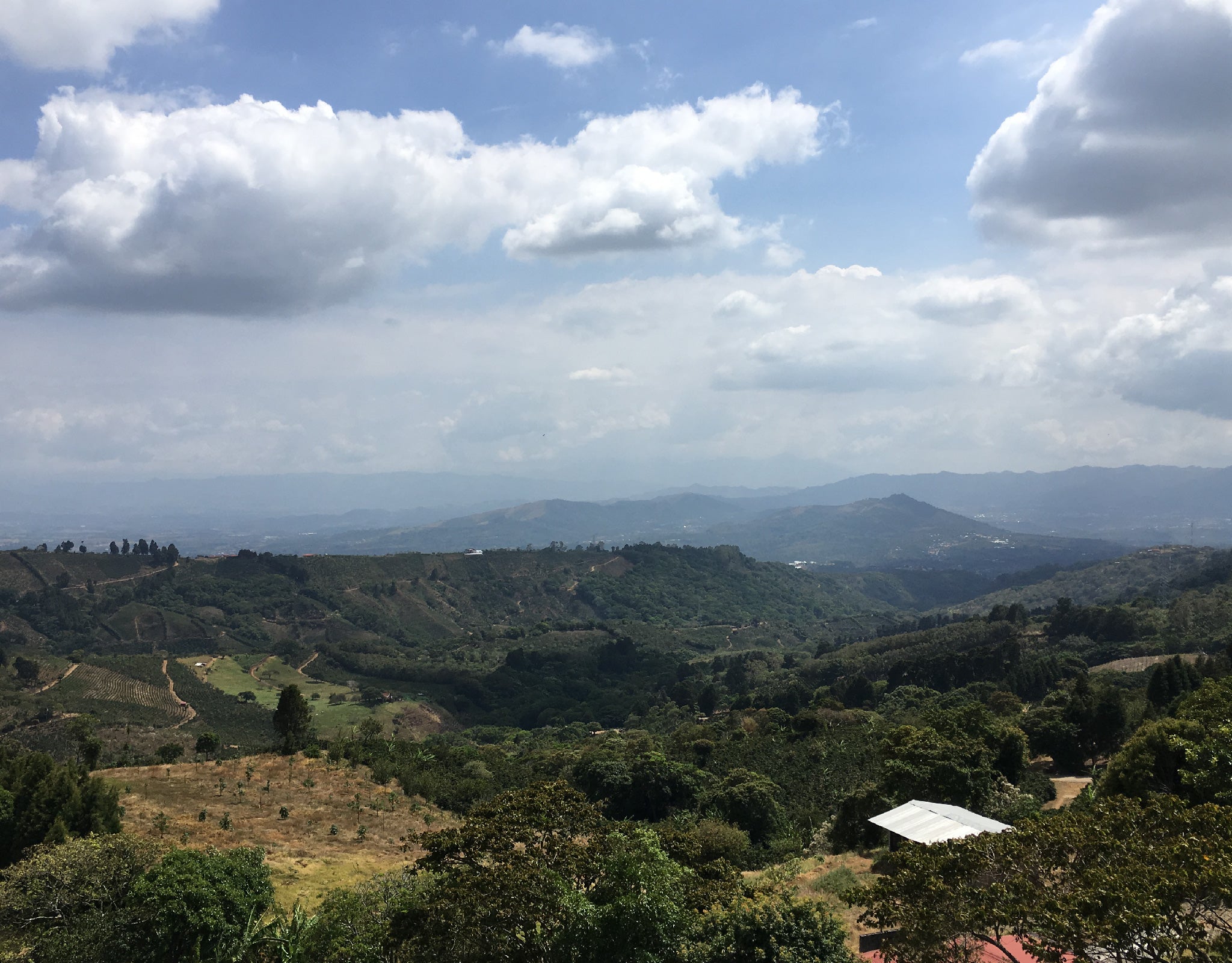 Tout - Producers: Torres Family - Slider 1