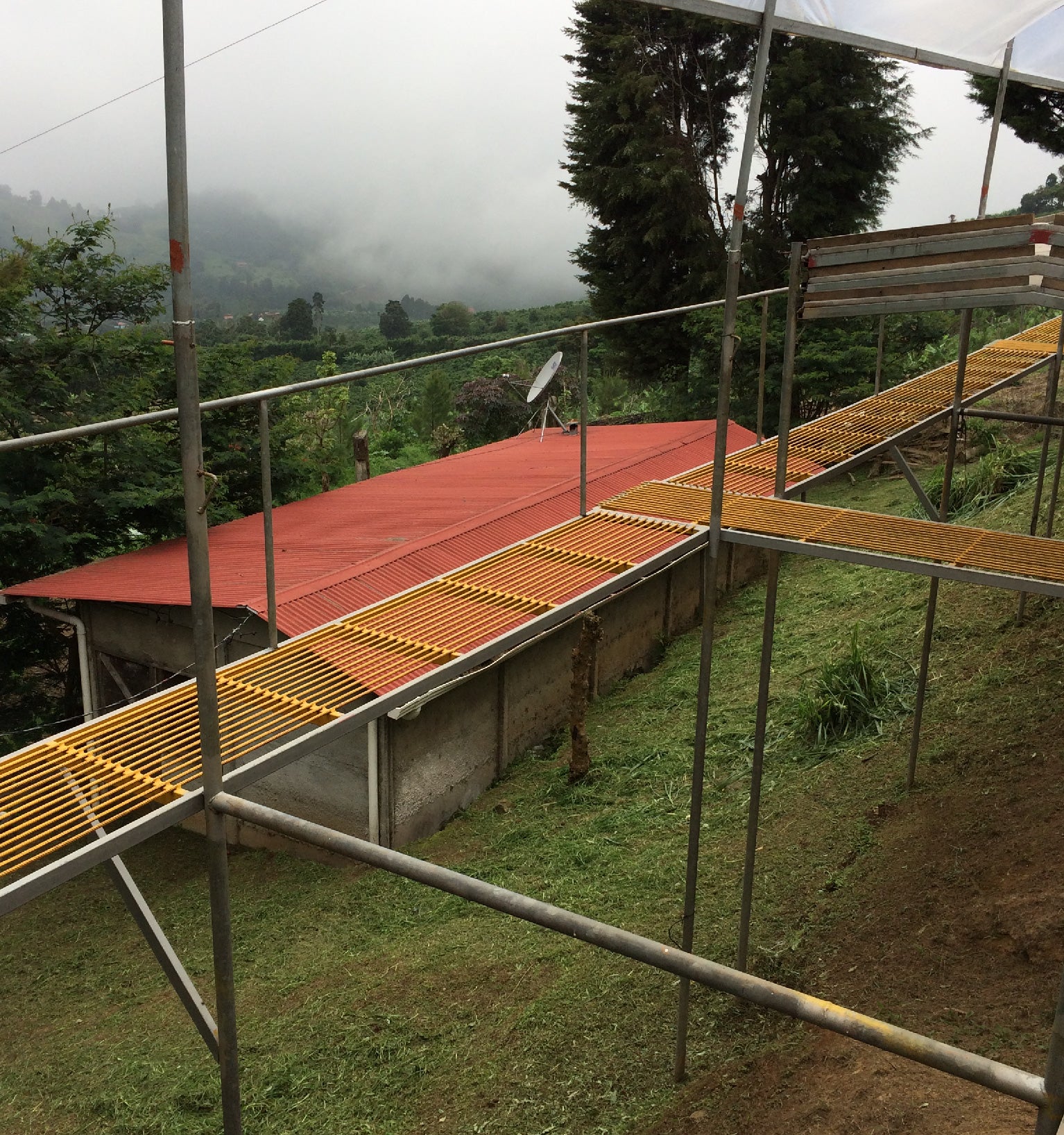 Tout - Producers: Torres Family - Slider 2