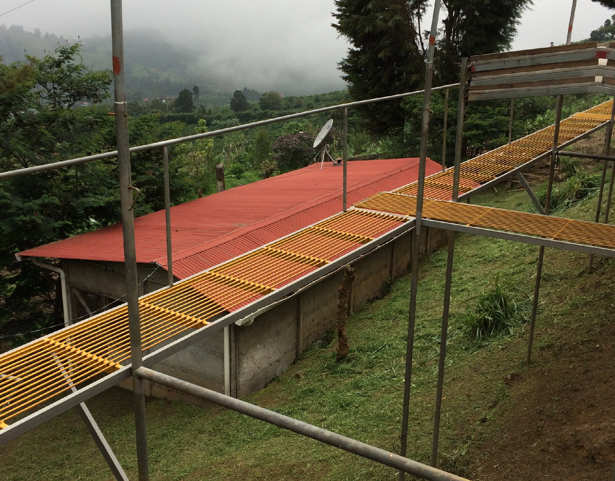 Tout - Producers: Torres Family - Slider 2